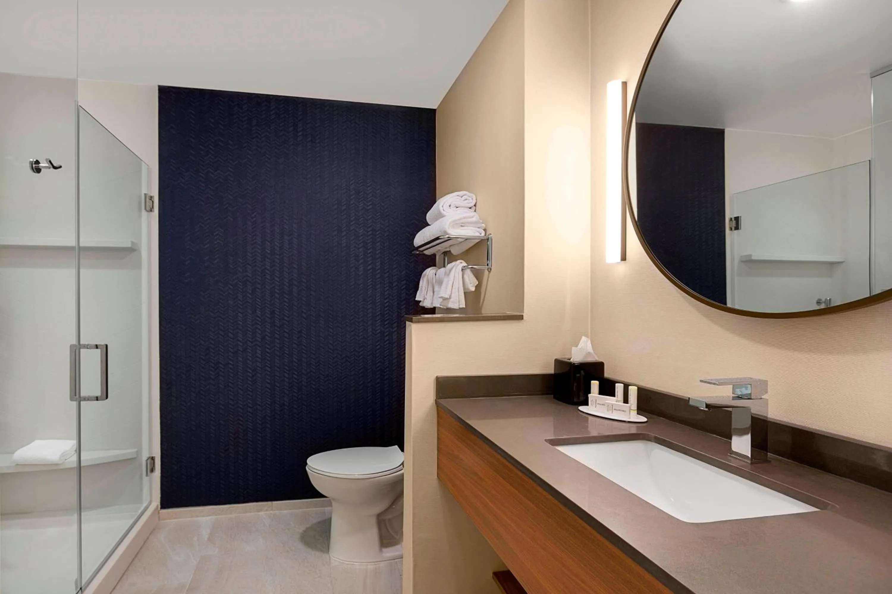 Bathroom in Fairfield Inn & Suites by Marriott Shelby
