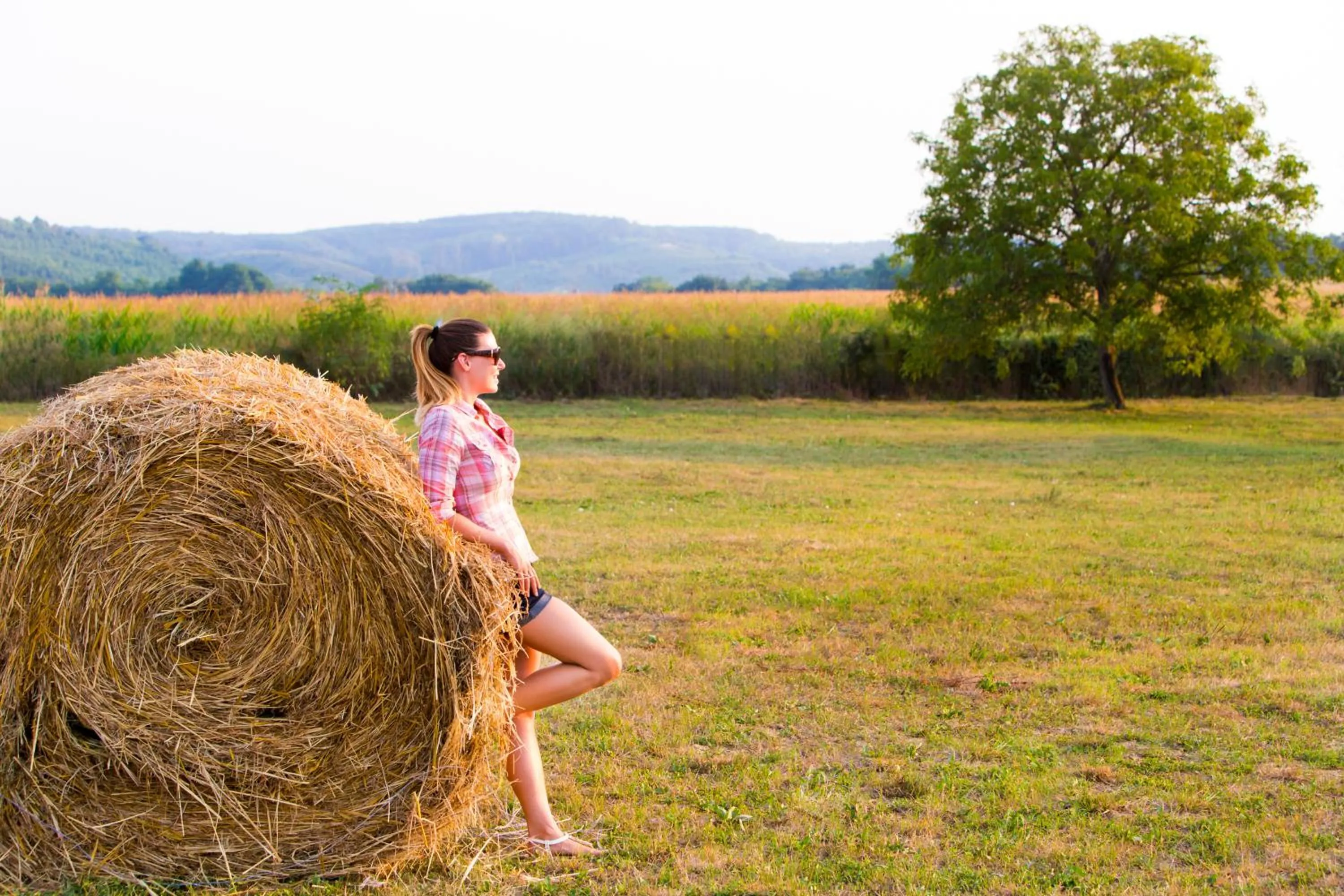 Garden in Aphrodite Hotel