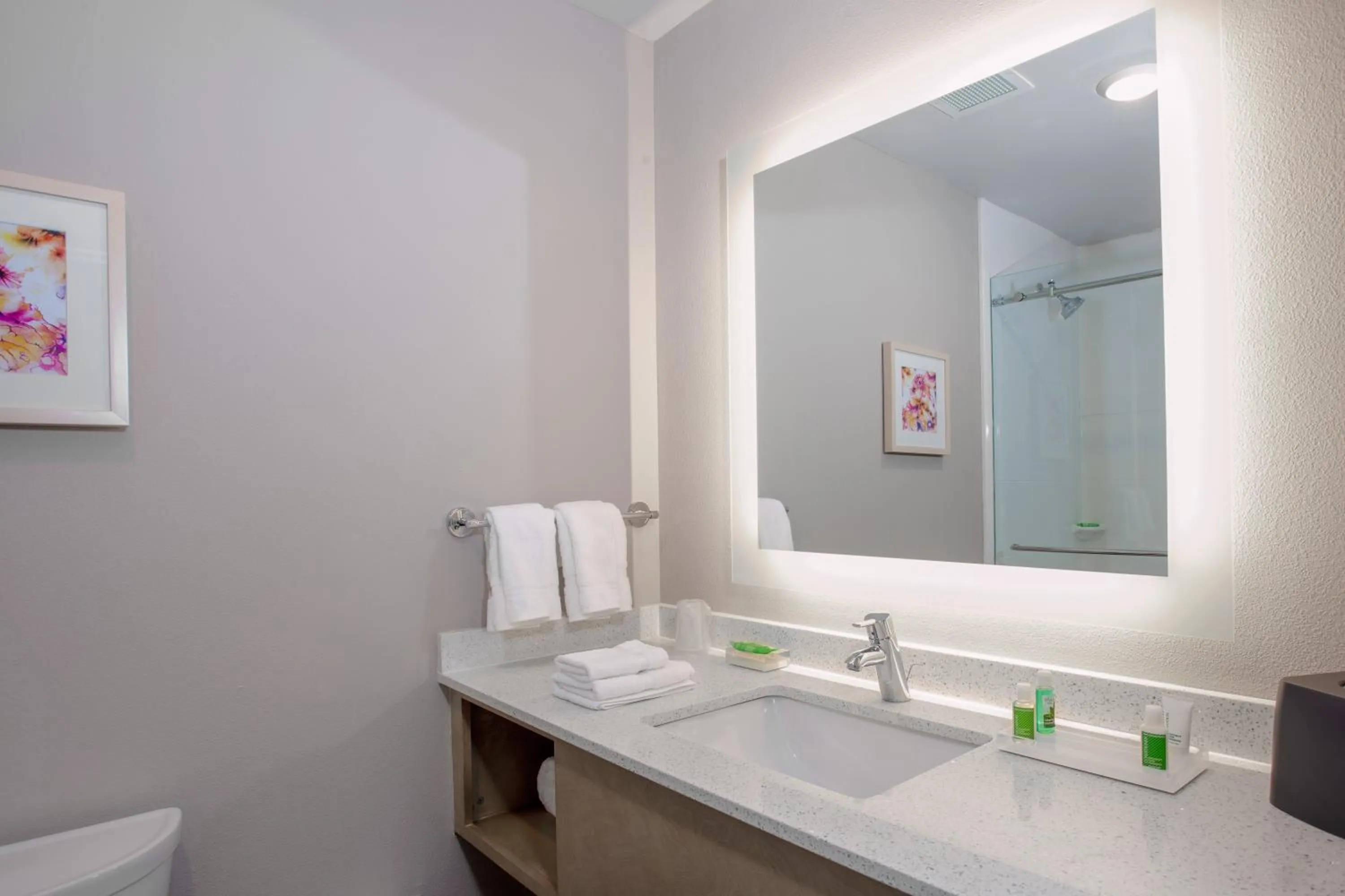 Bathroom in Holiday Inn - Tallahassee E Capitol - Univ by IHG