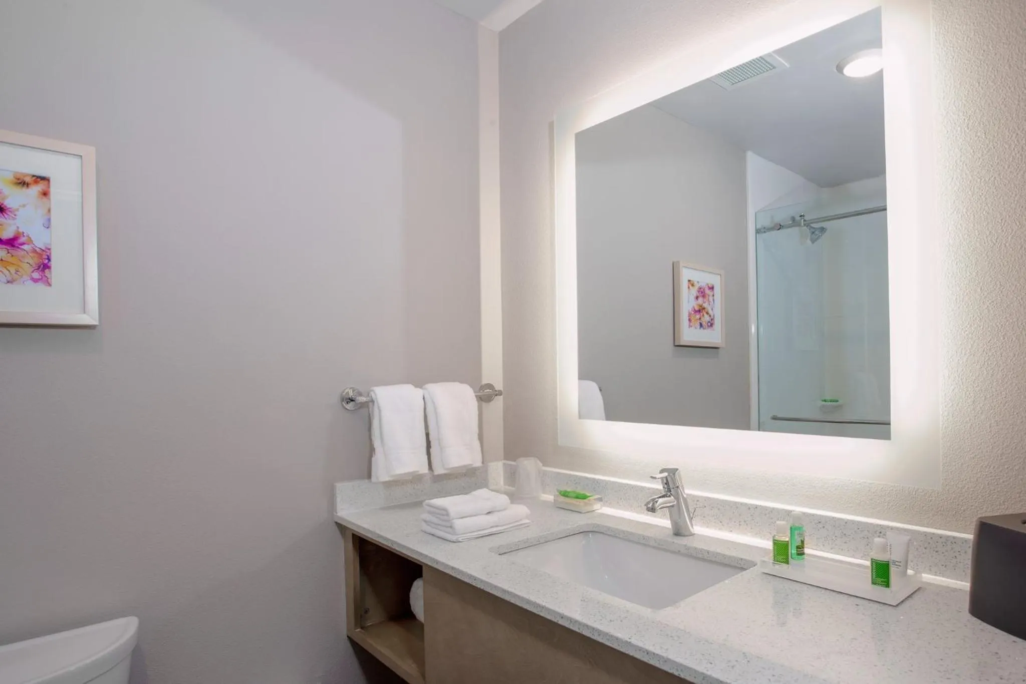 Bathroom in Holiday Inn - Tallahassee E Capitol - Univ by IHG