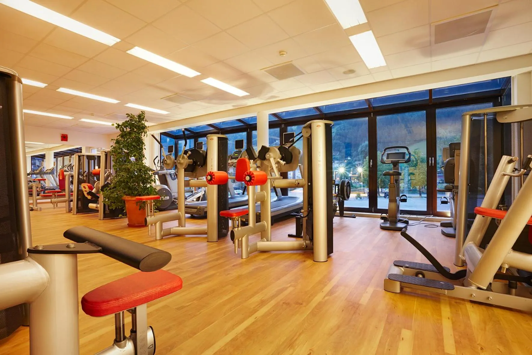 Activities in Theresa Wellness-Genießer-Hotel