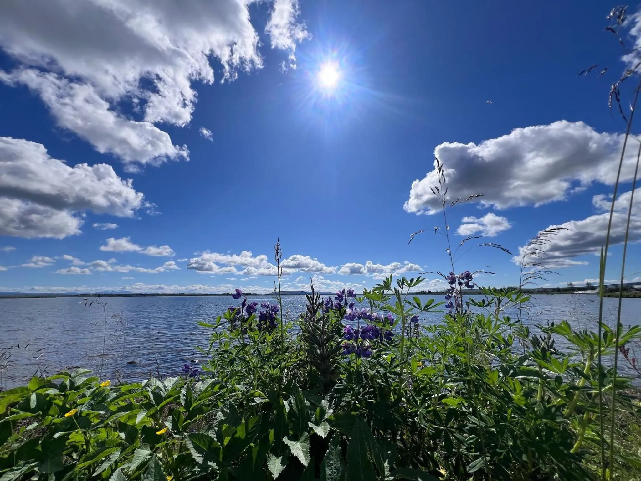 Nearby landmark in Bjork Guesthouse