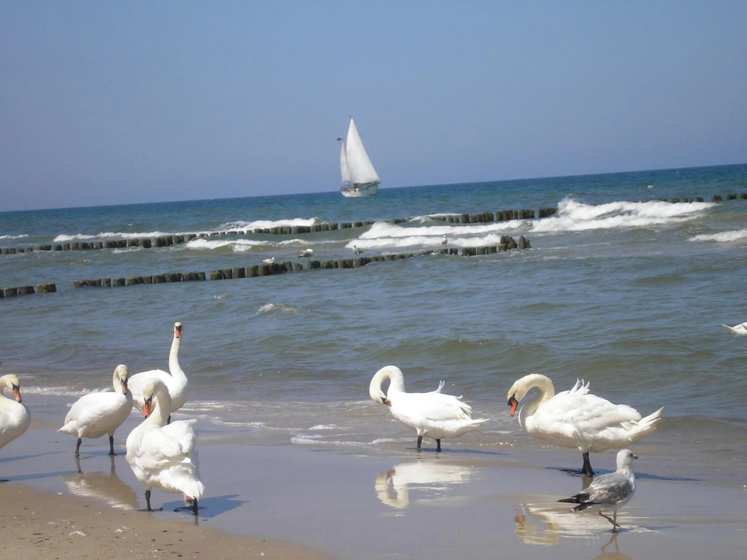 Beach in Pensjonat KoGa