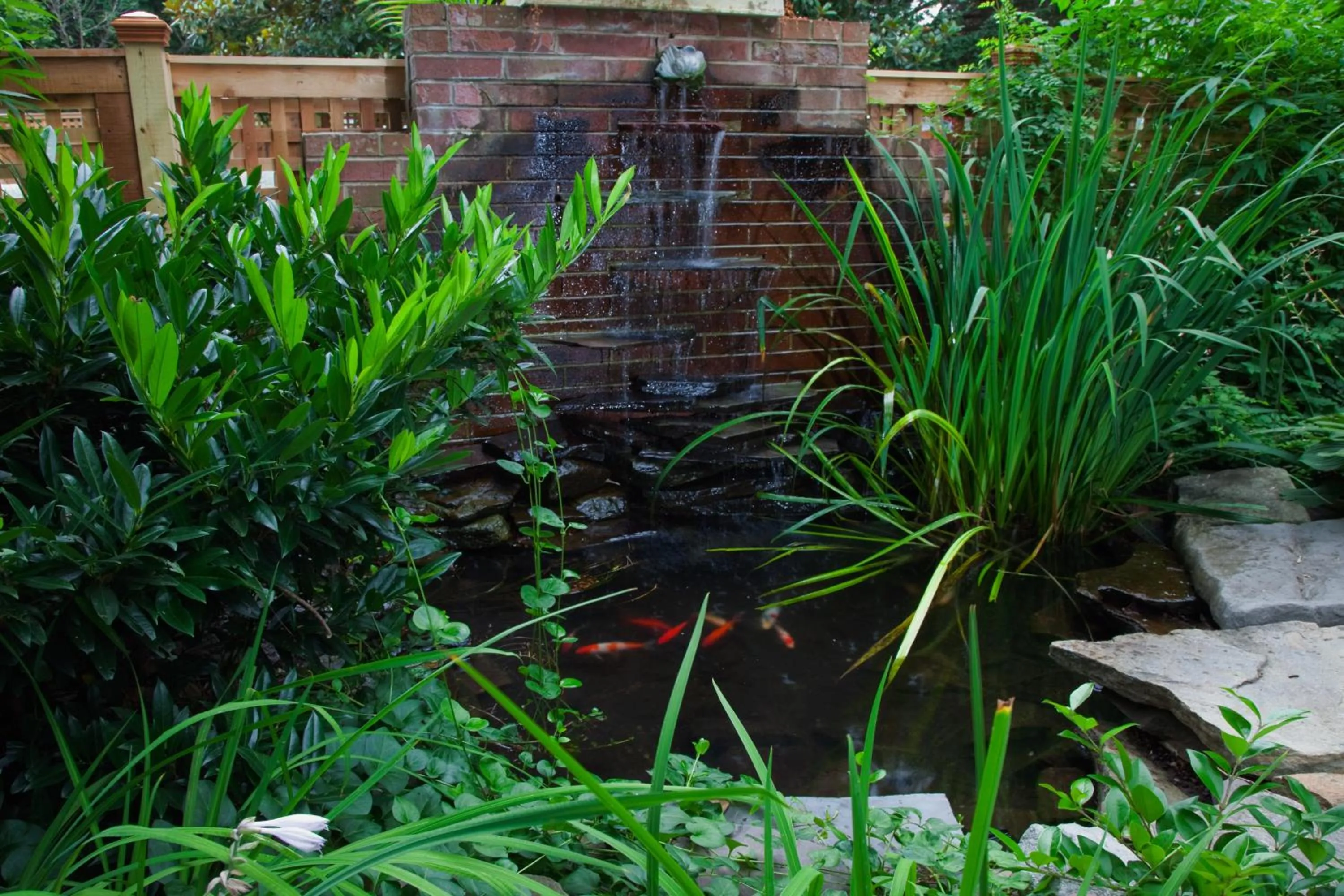 Garden in The Bellmoor Inn and Spa