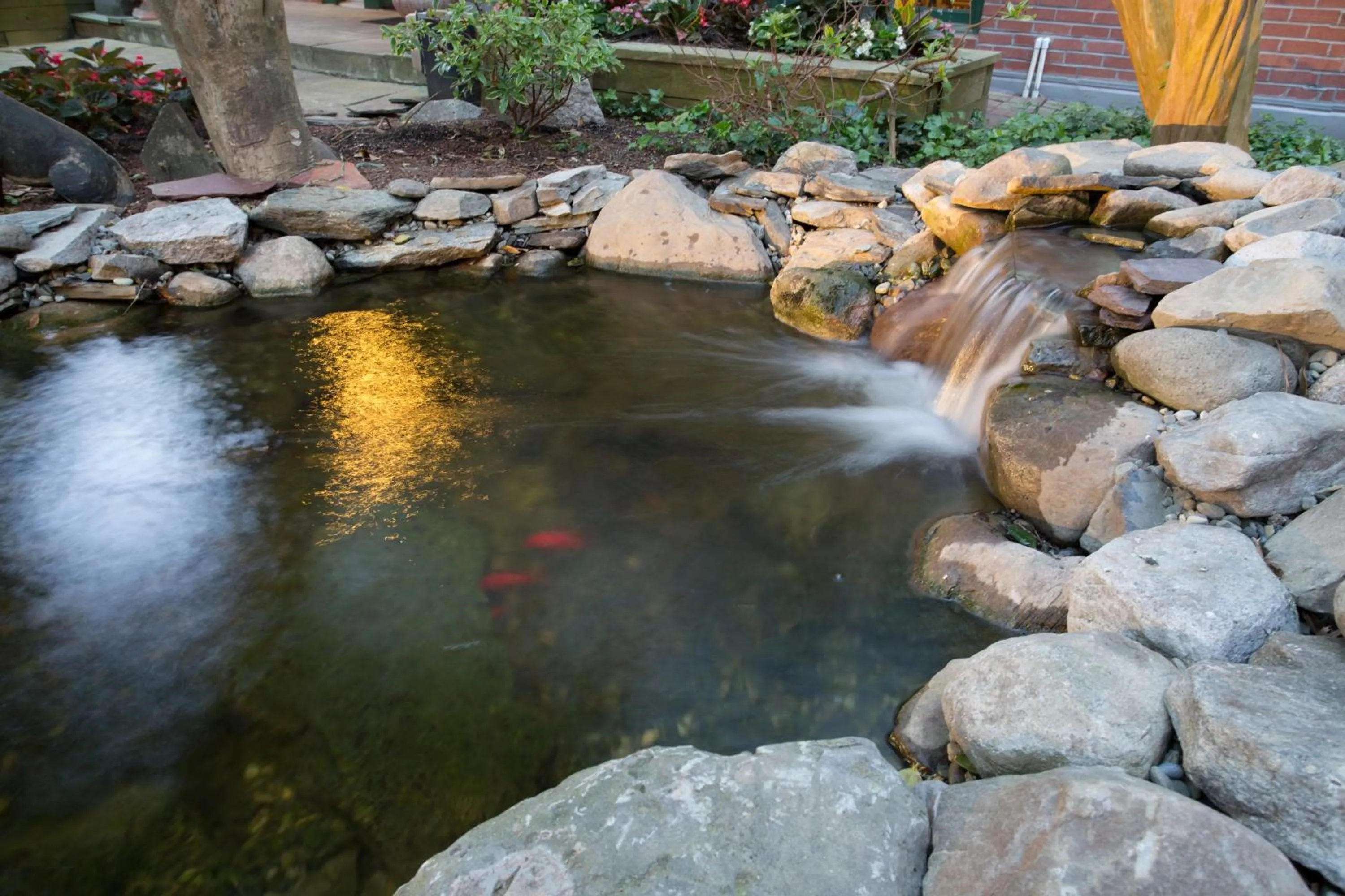 Patio in The Bellmoor Inn and Spa