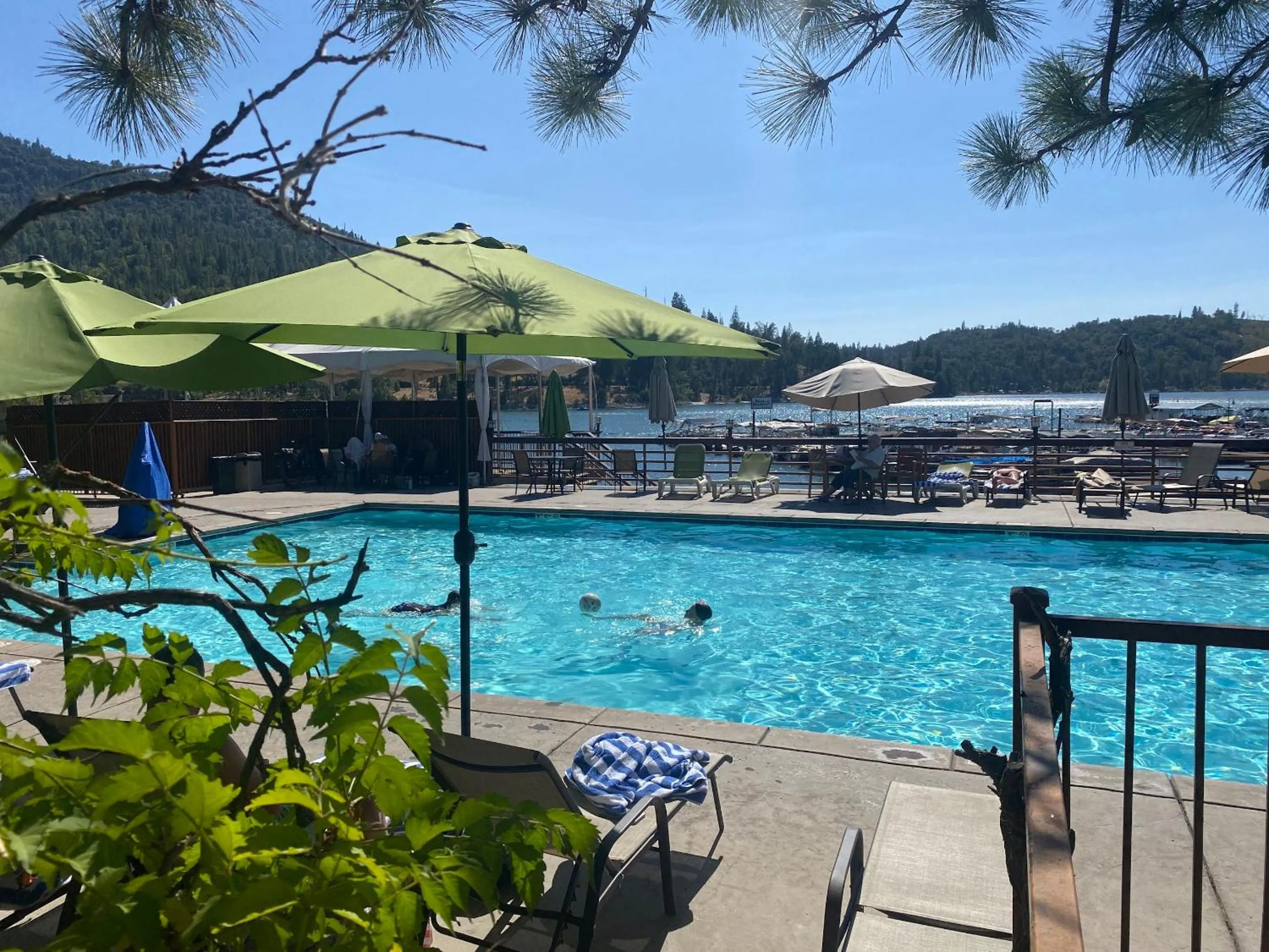 Swimming pool in The Pines Resort & Conference Center