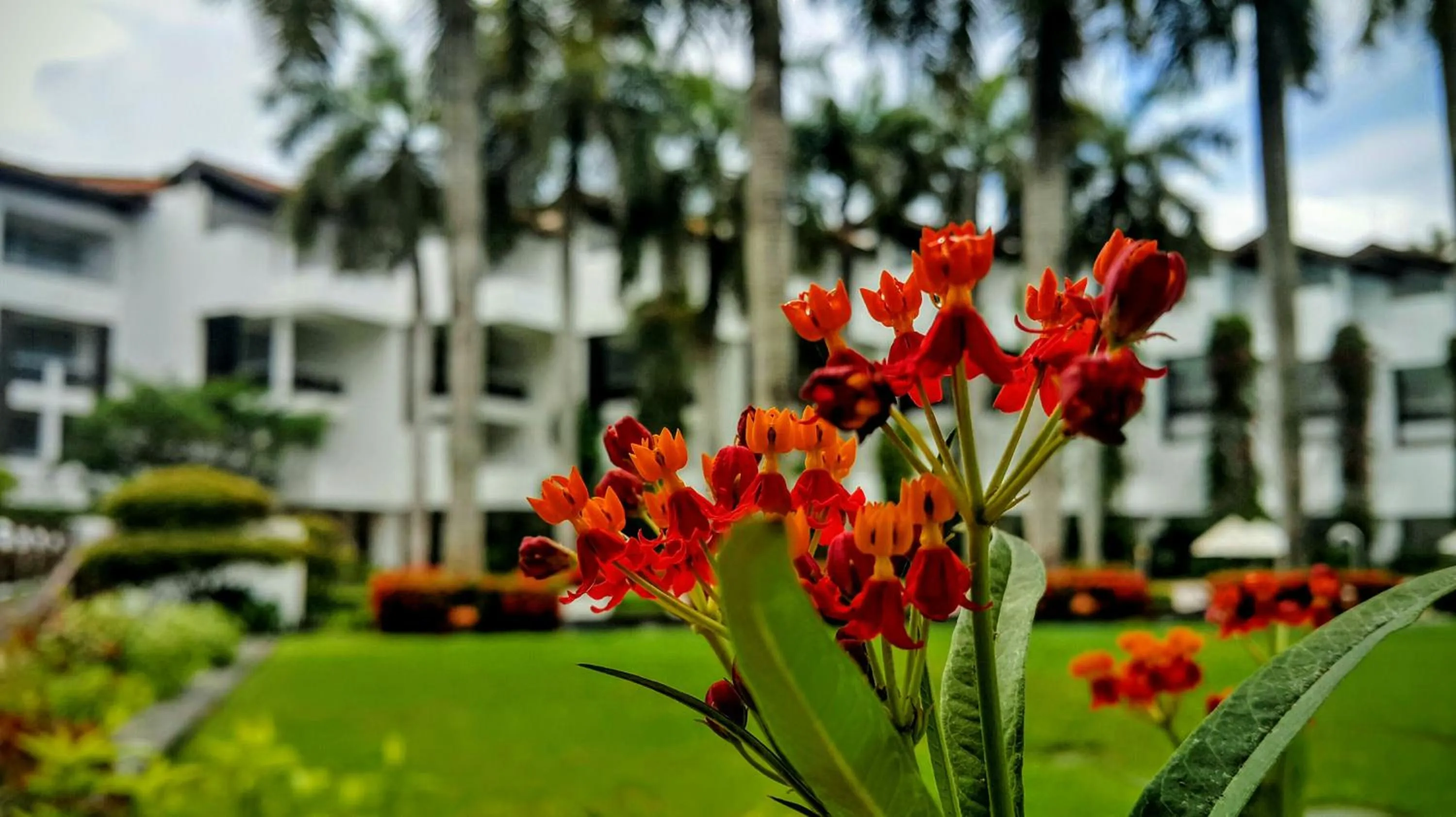 Garden in Lanka Princess All Inclusive Hotel