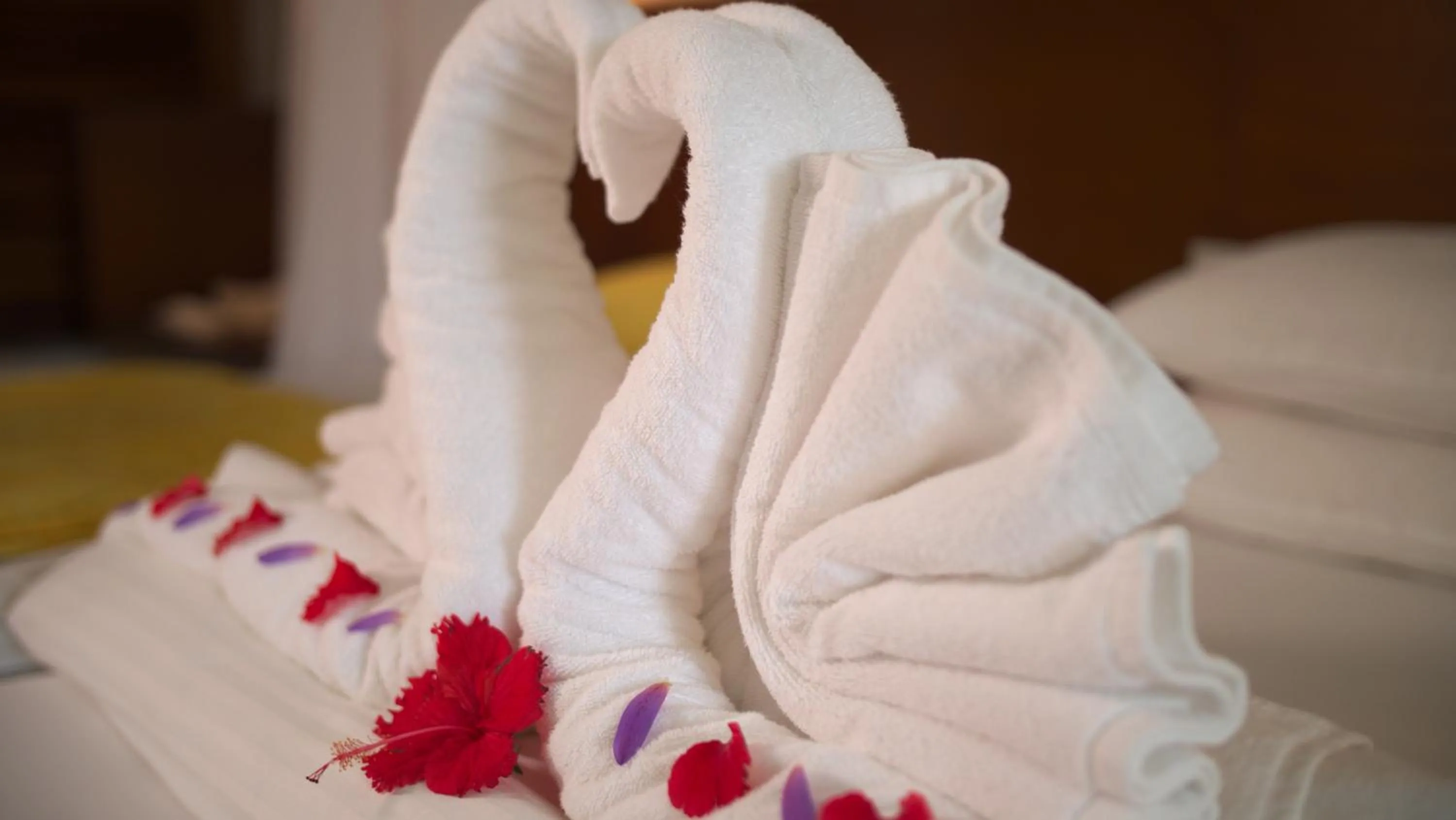 Other, Bed in Lanka Princess All Inclusive Hotel