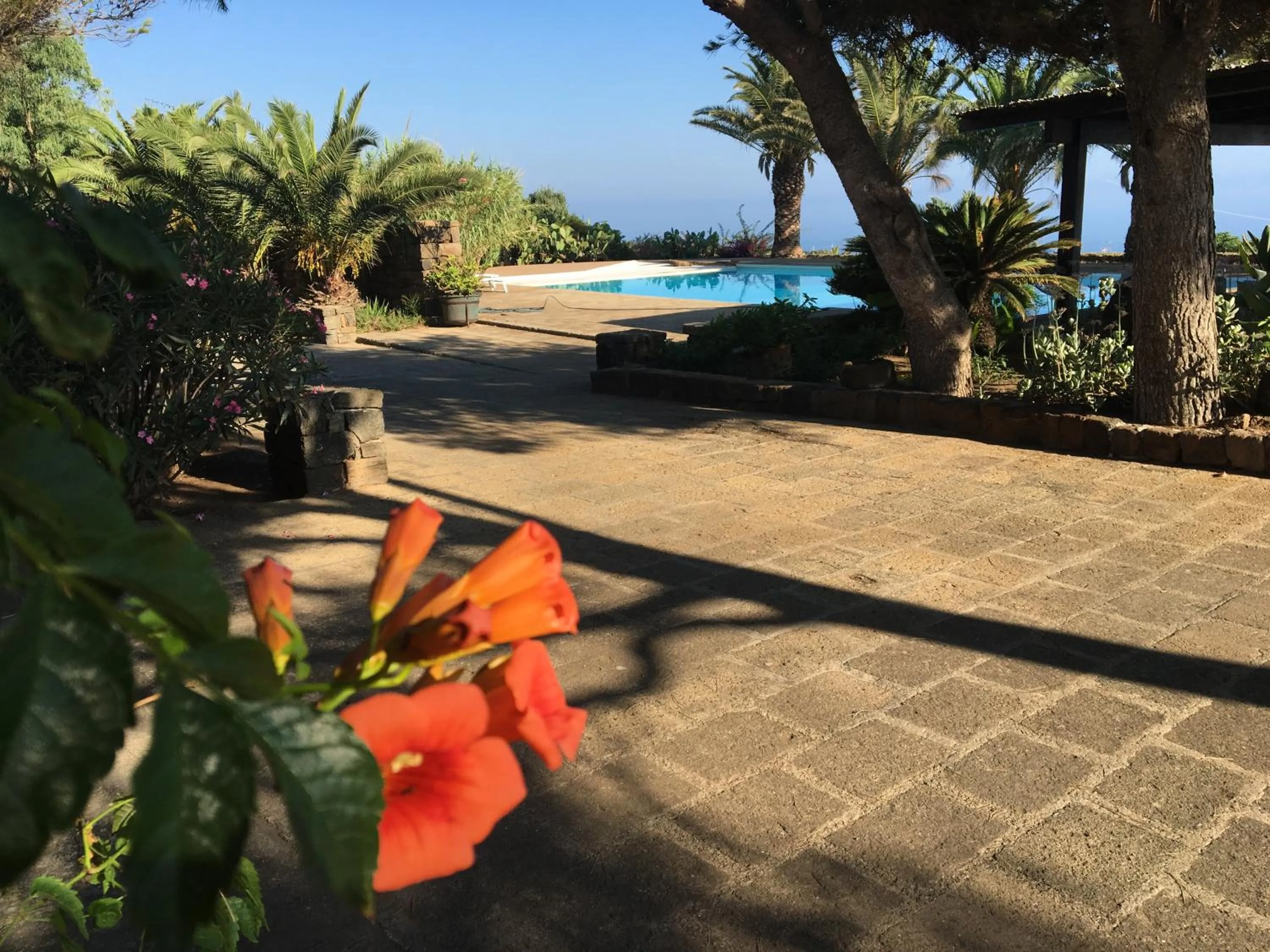 Garden in Residenza Khaddiuggia