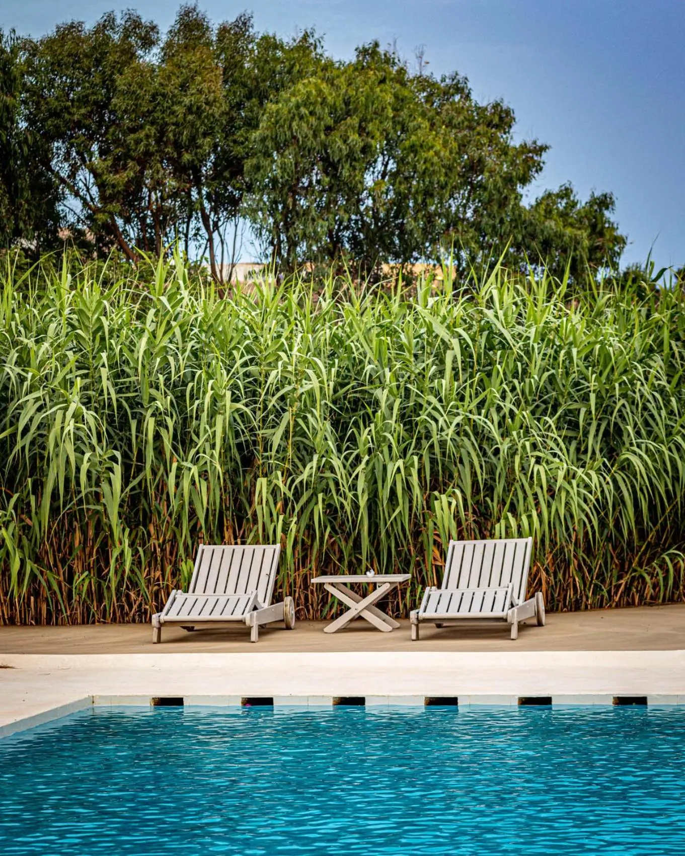 Garden in Residenza Khaddiuggia