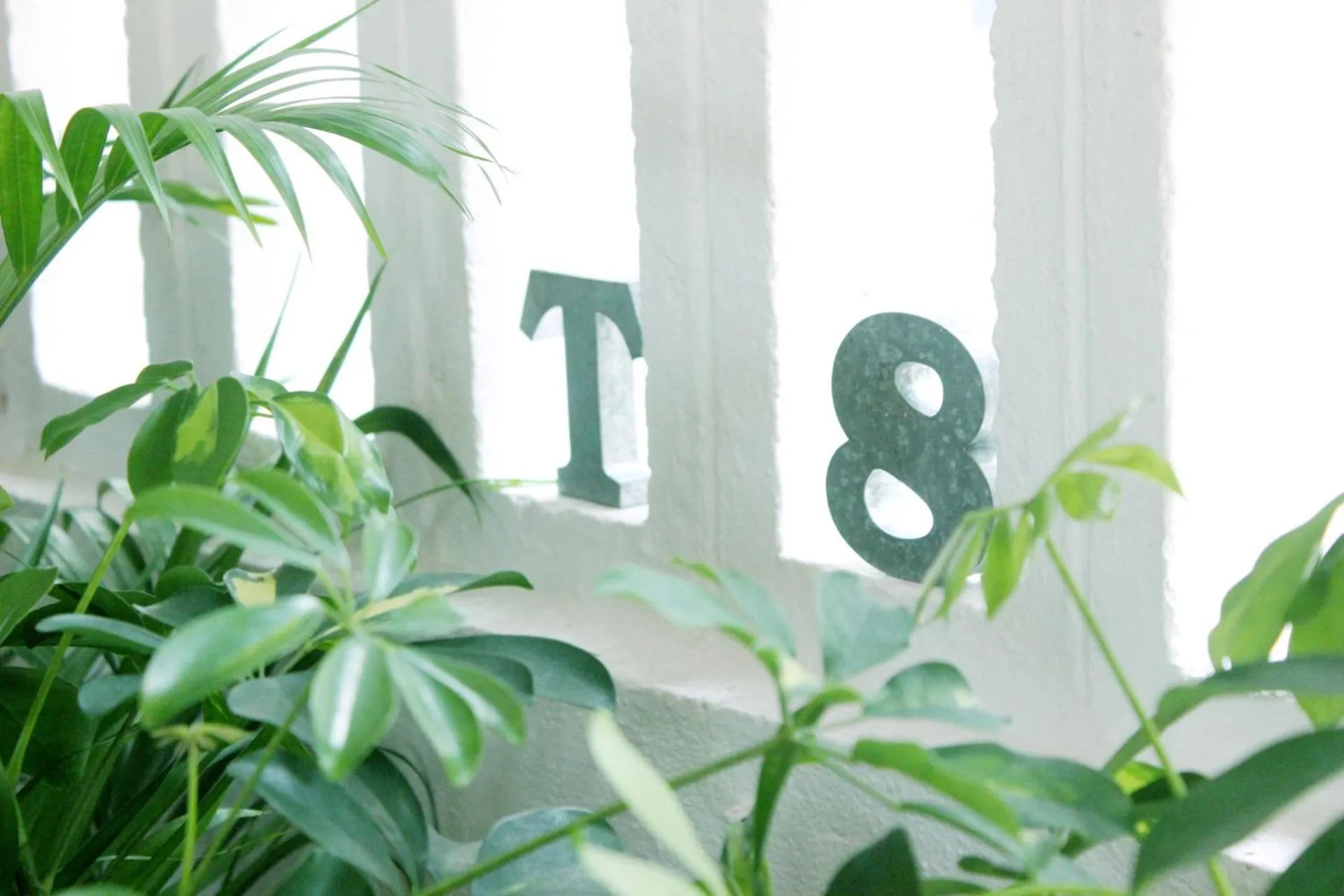 Other in Okinawan. Sweet Home. T-8