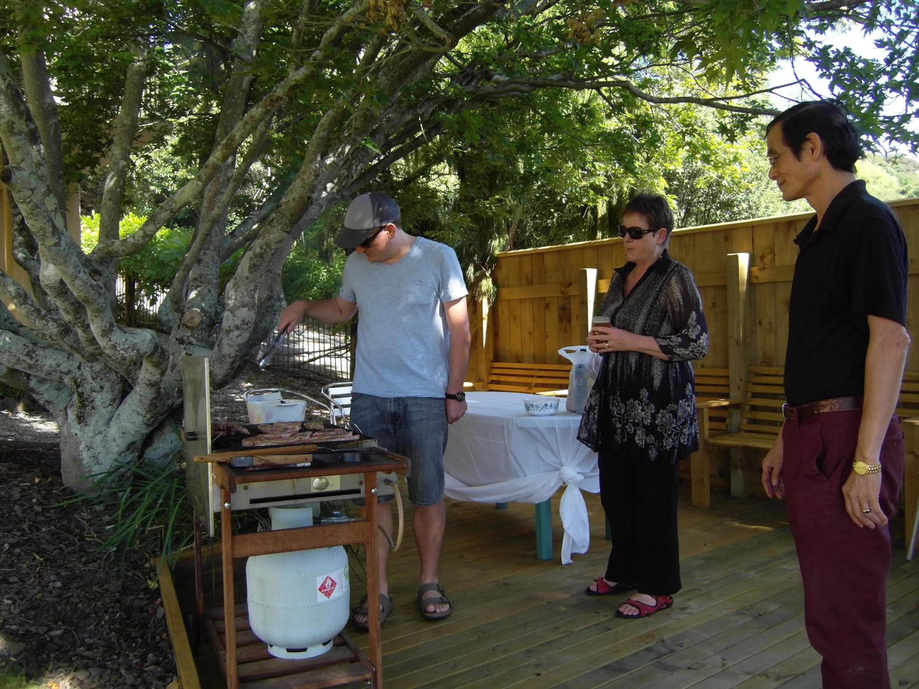 BBQ facilities in Abelia Motor Lodge