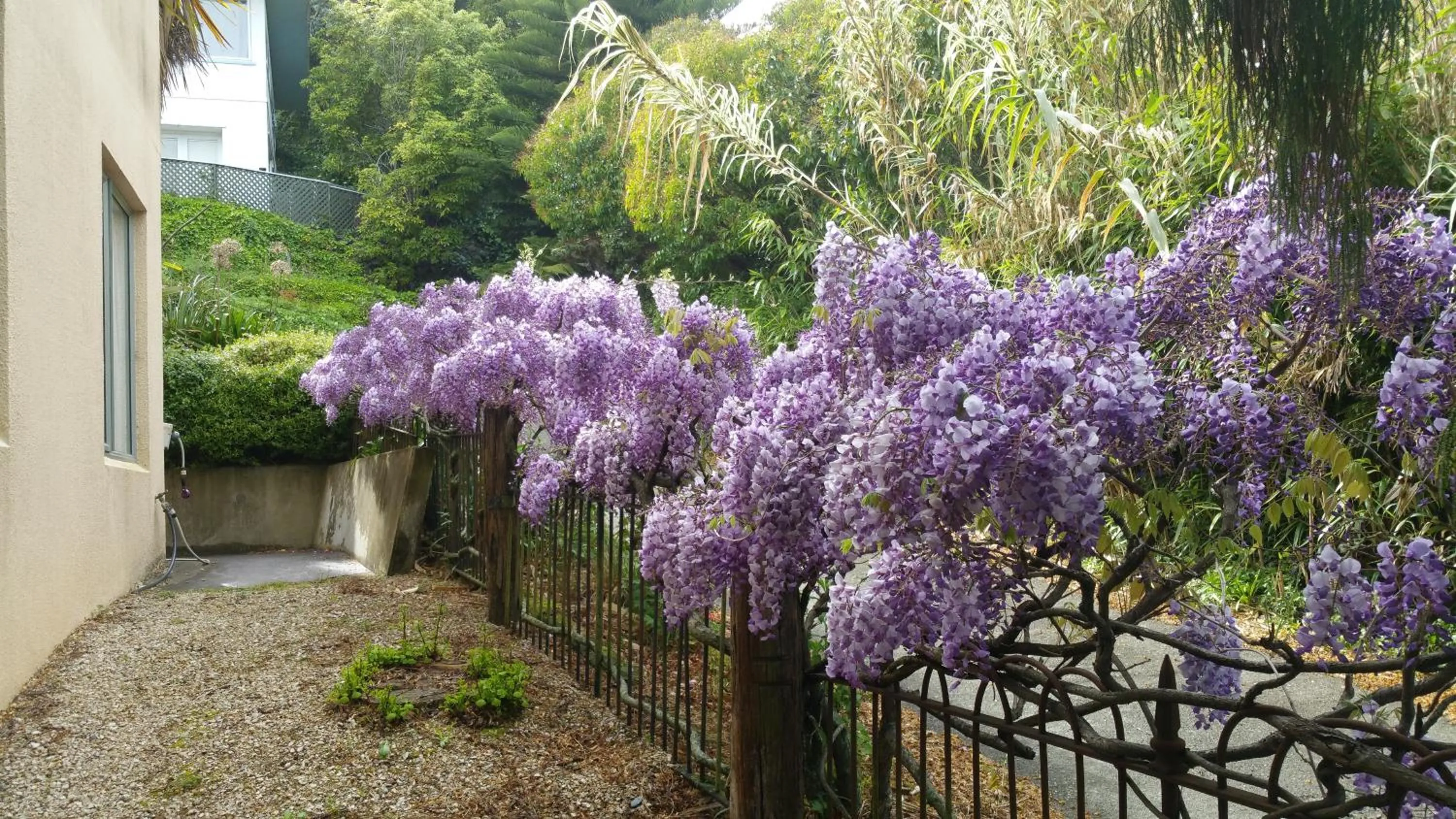 Decorative detail in Abelia Motor Lodge