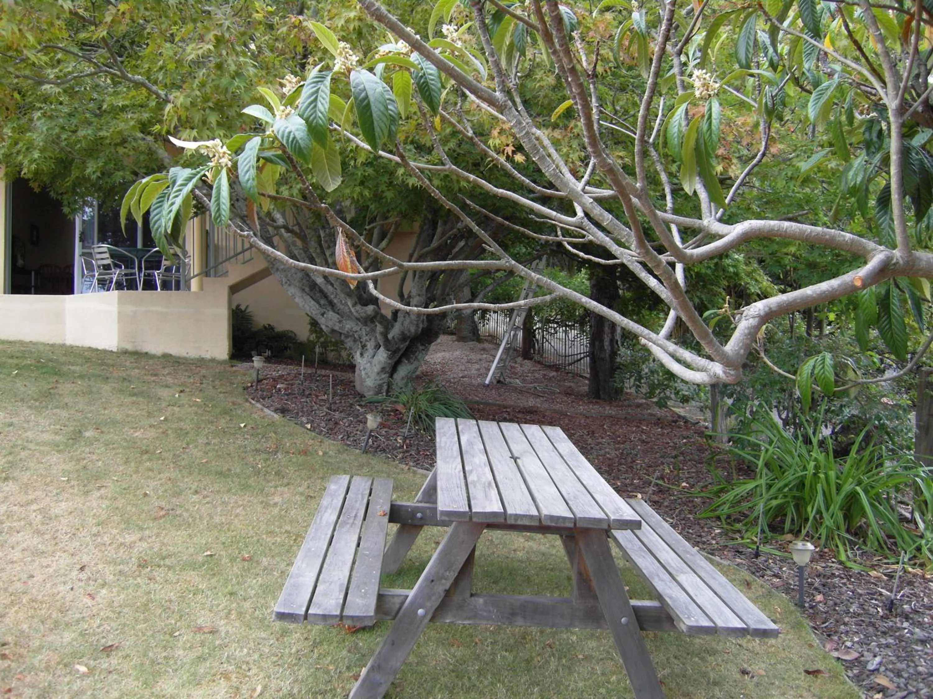 Garden in Abelia Motor Lodge
