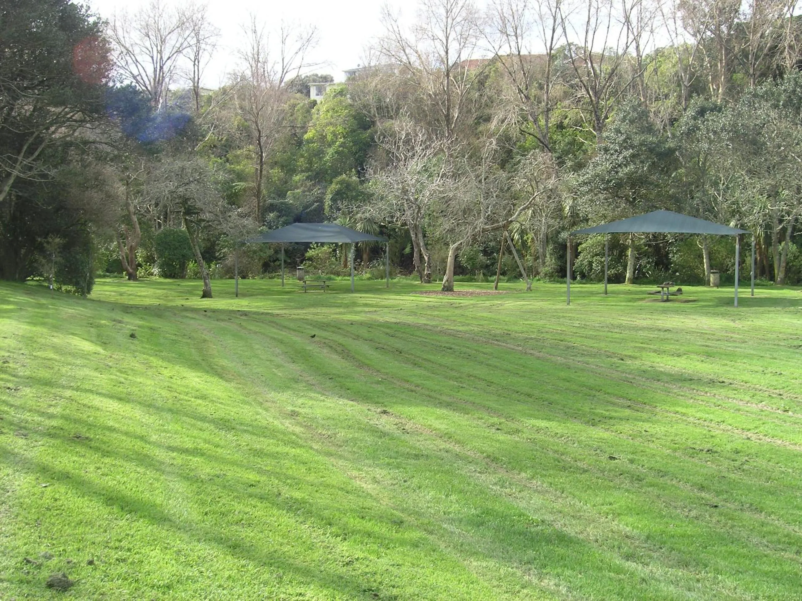 Natural landscape in Bucket Tree Lodge