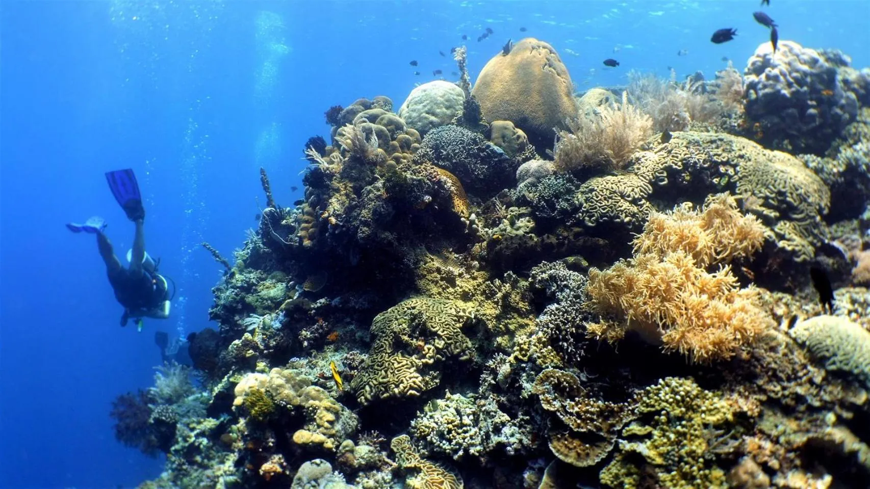 Natural landscape in Bunaken Sea Garden Resort