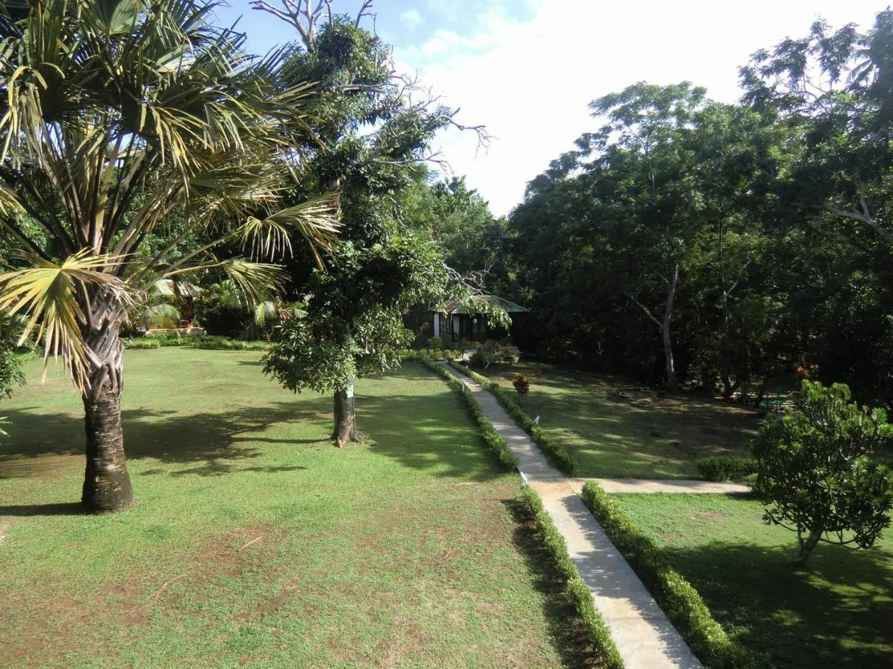 Garden in Bunaken Sea Garden Resort