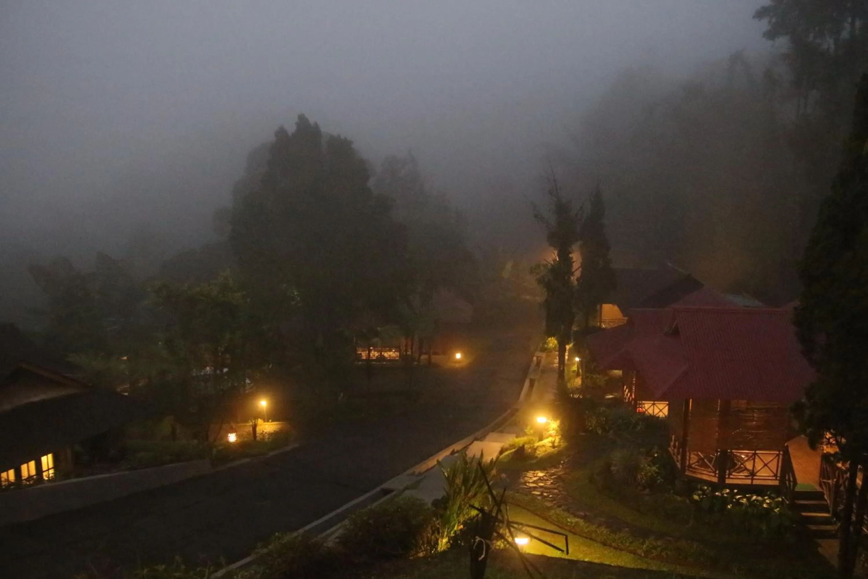 Highland Resort & Nature Tours