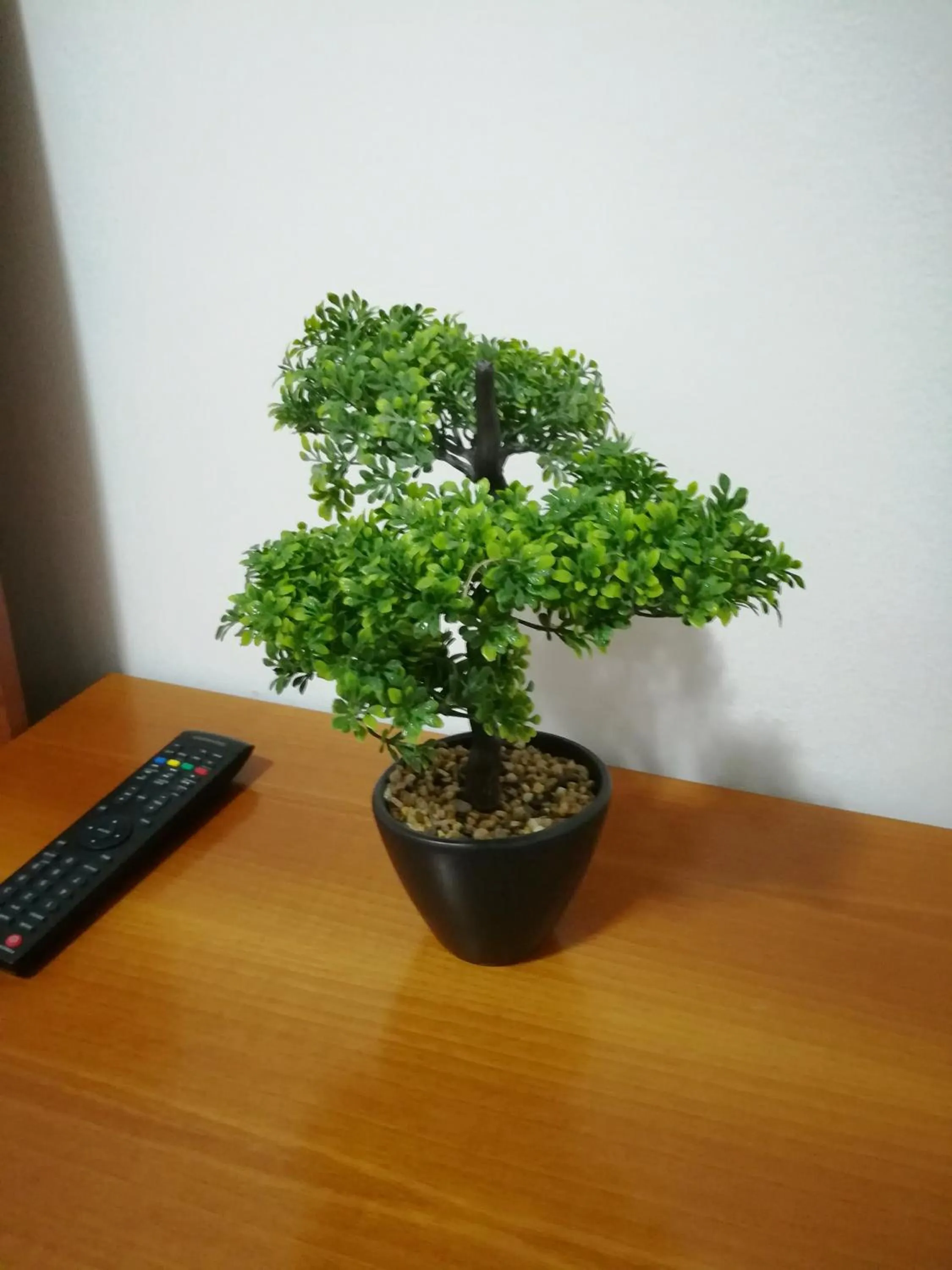 Venice Amazing House