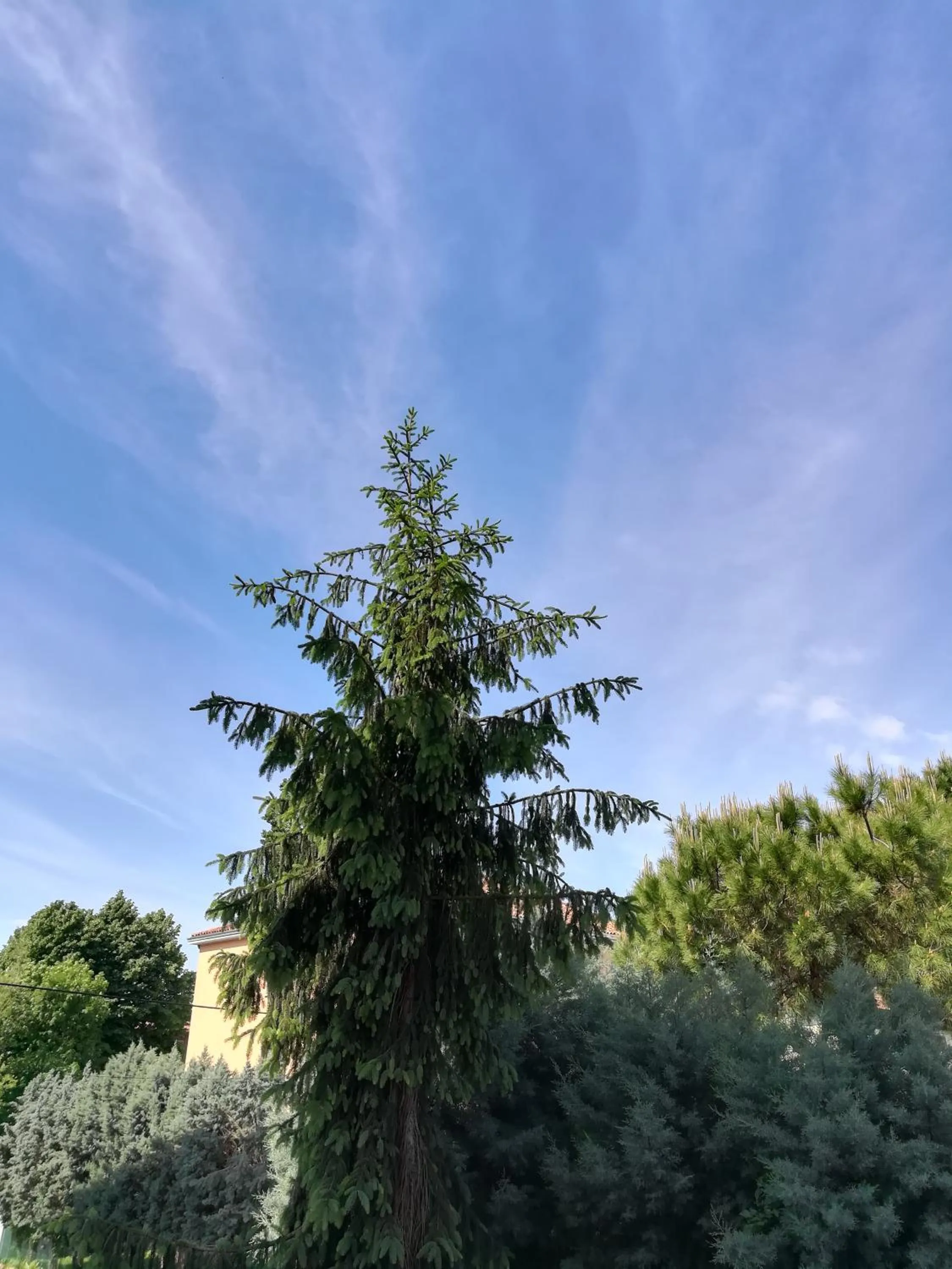 Venice Amazing House