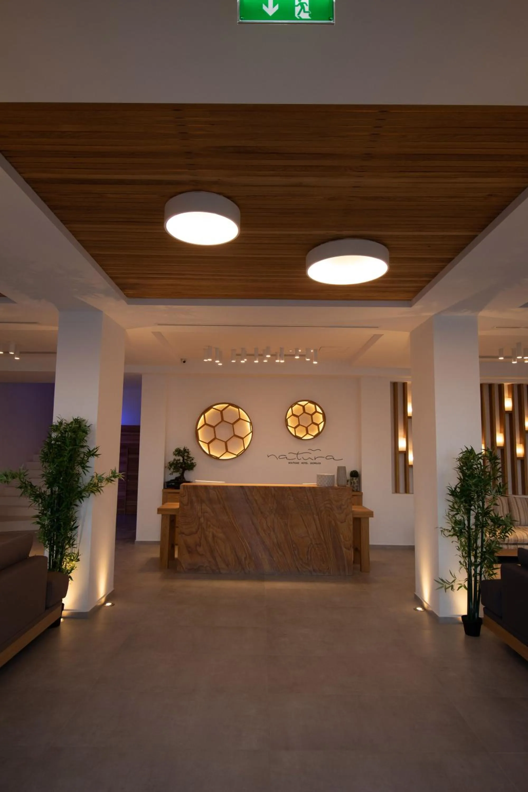 Lobby or reception in Natura Luxury Boutique Hotel Skopelos