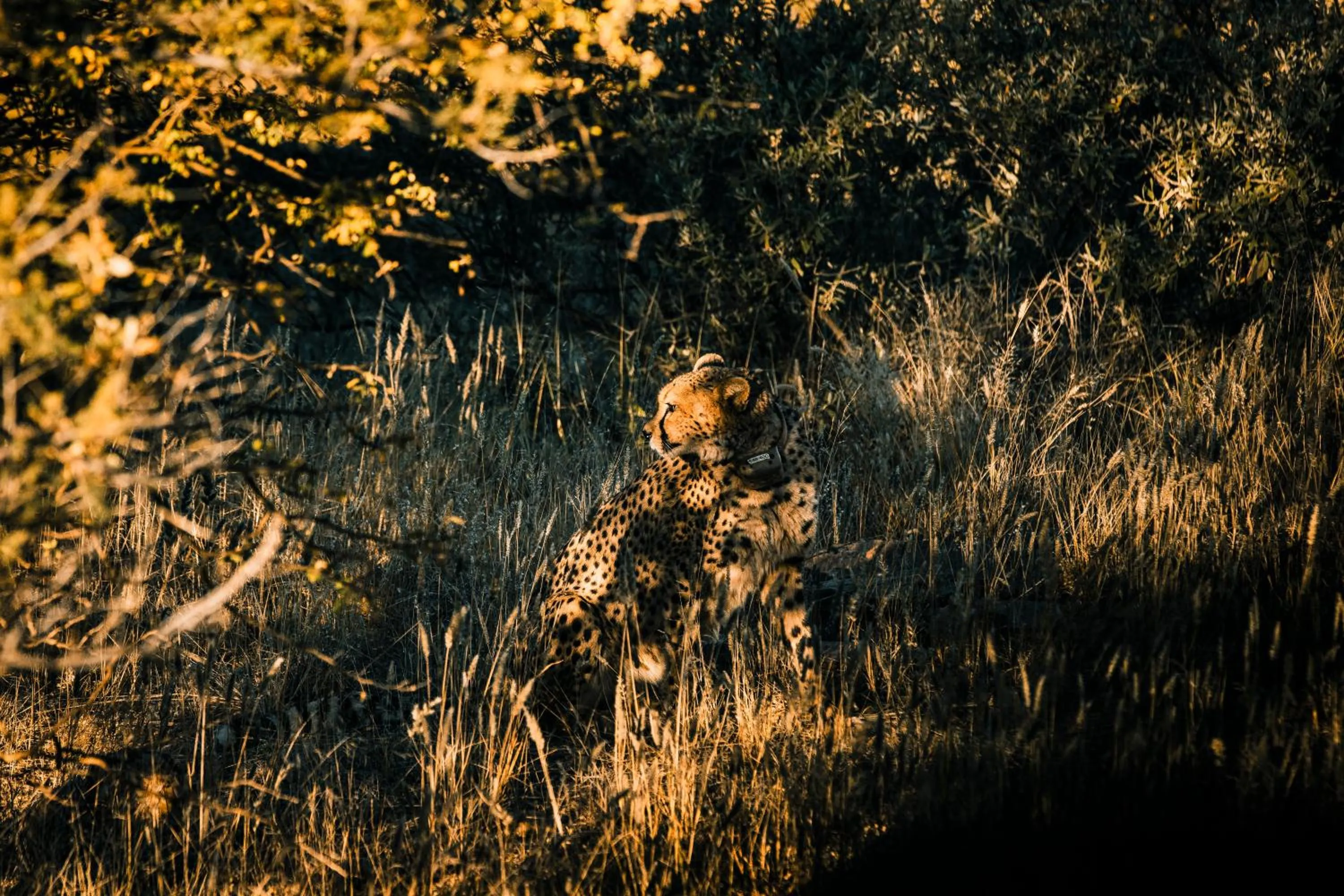 Natural landscape in Zannier Omaanda