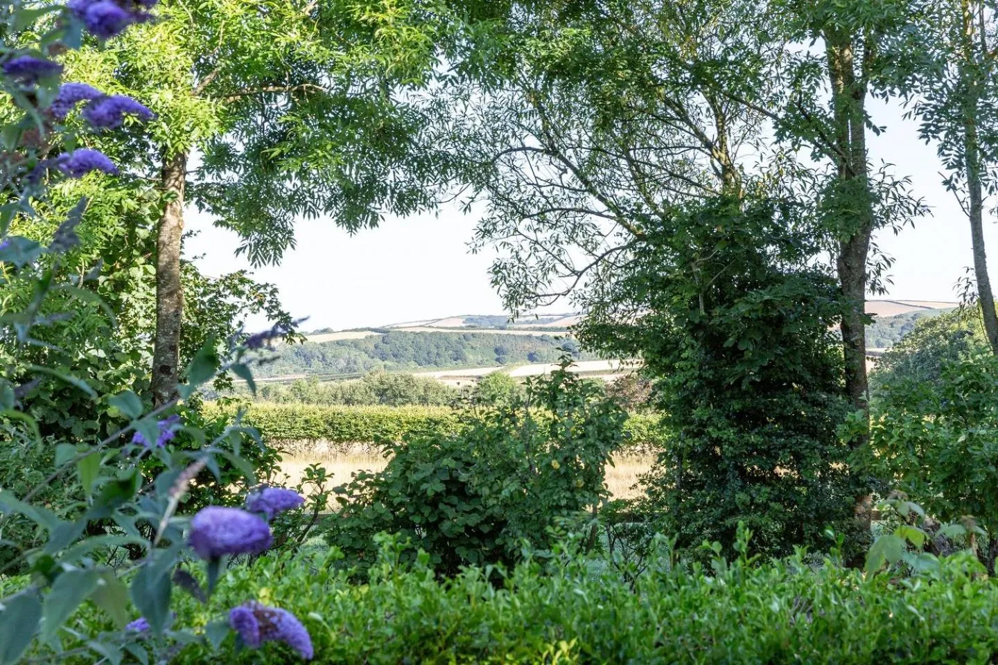 Natural landscape in Brookfields