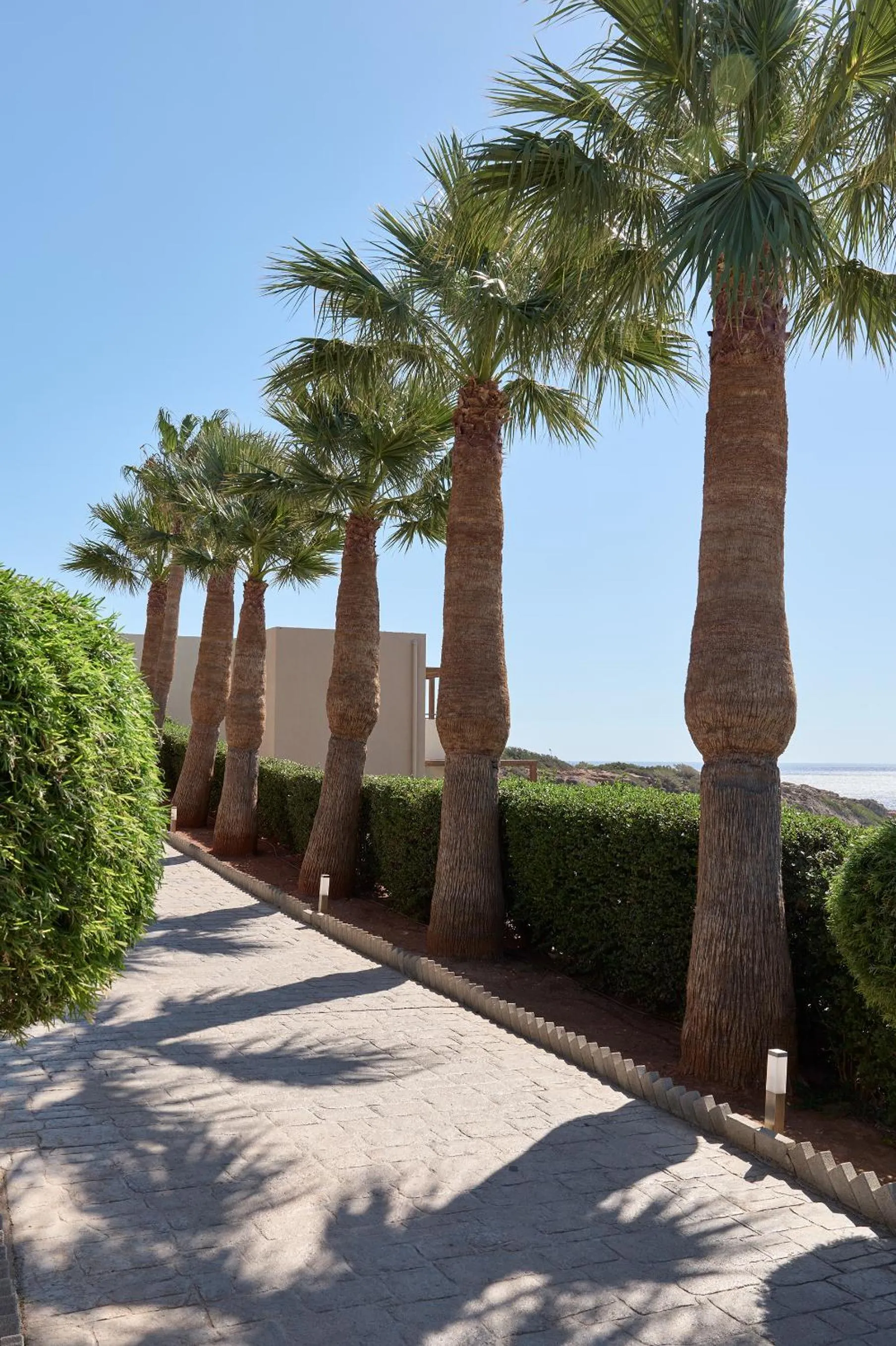 Natural landscape in Atlantica Mikri Poli Crete