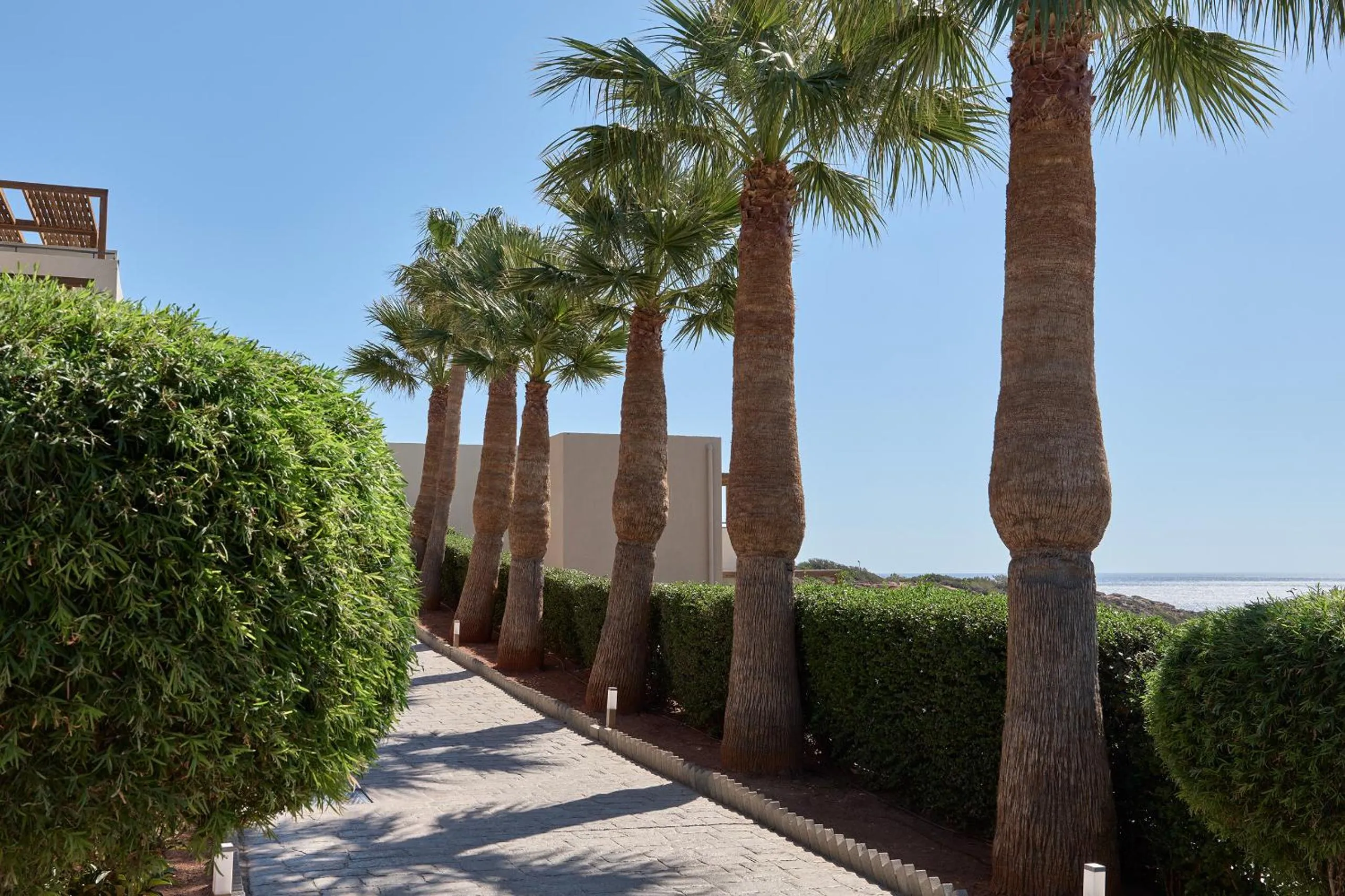 Garden in Atlantica Mikri Poli Crete