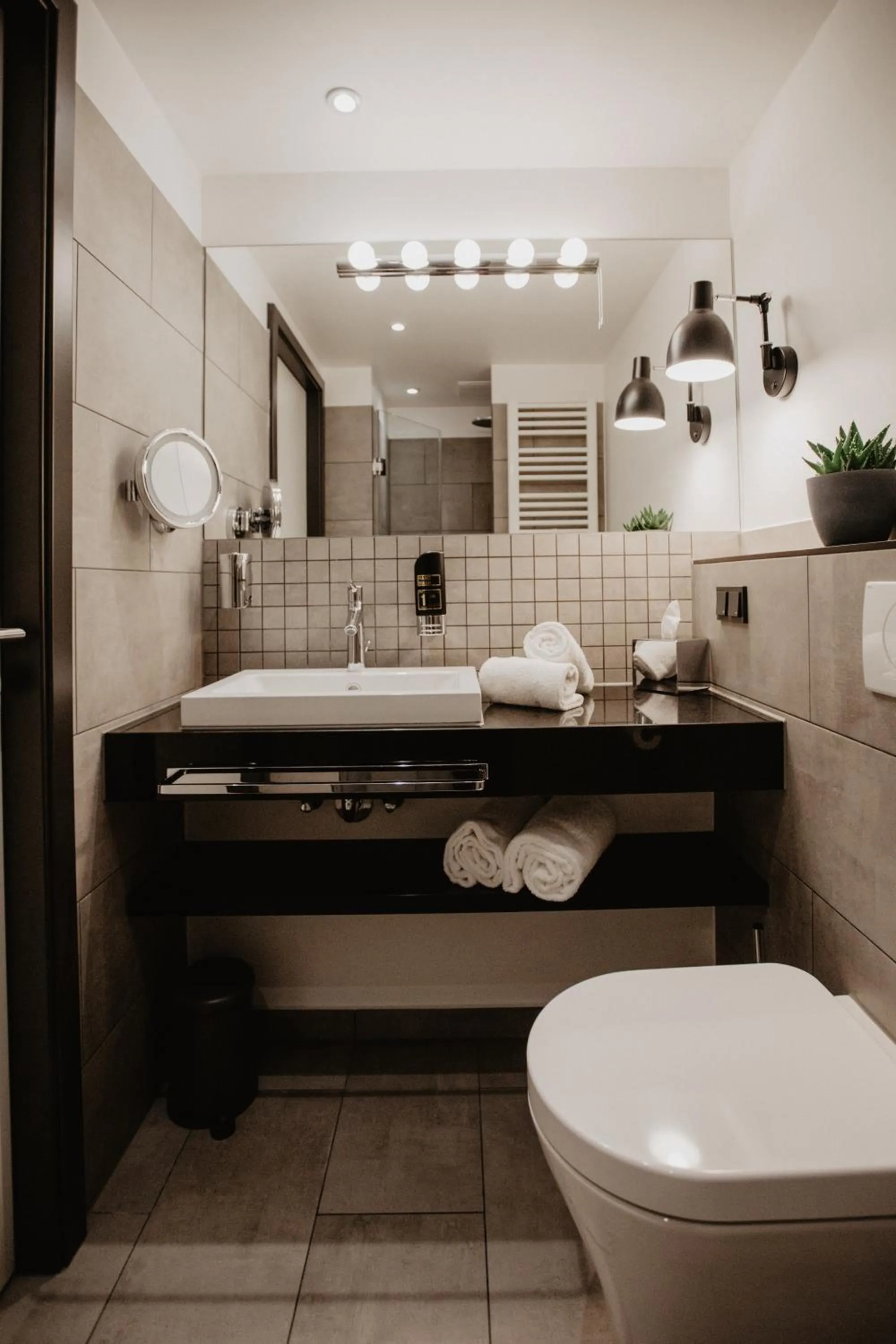 Shower in Arivo Forchheim