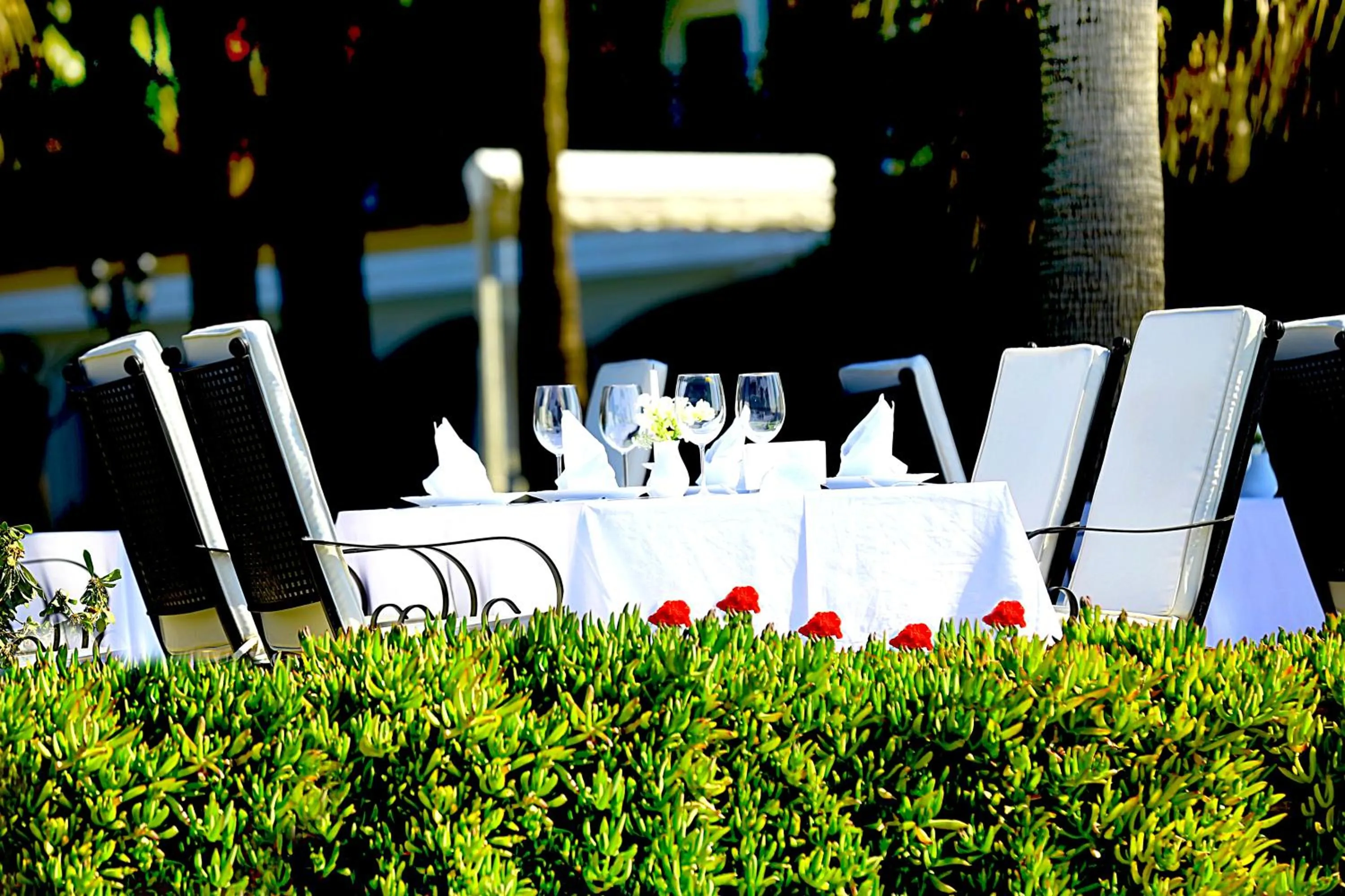 Restaurant/places to eat in Villa Augusto Boutique Hotel & SPA
