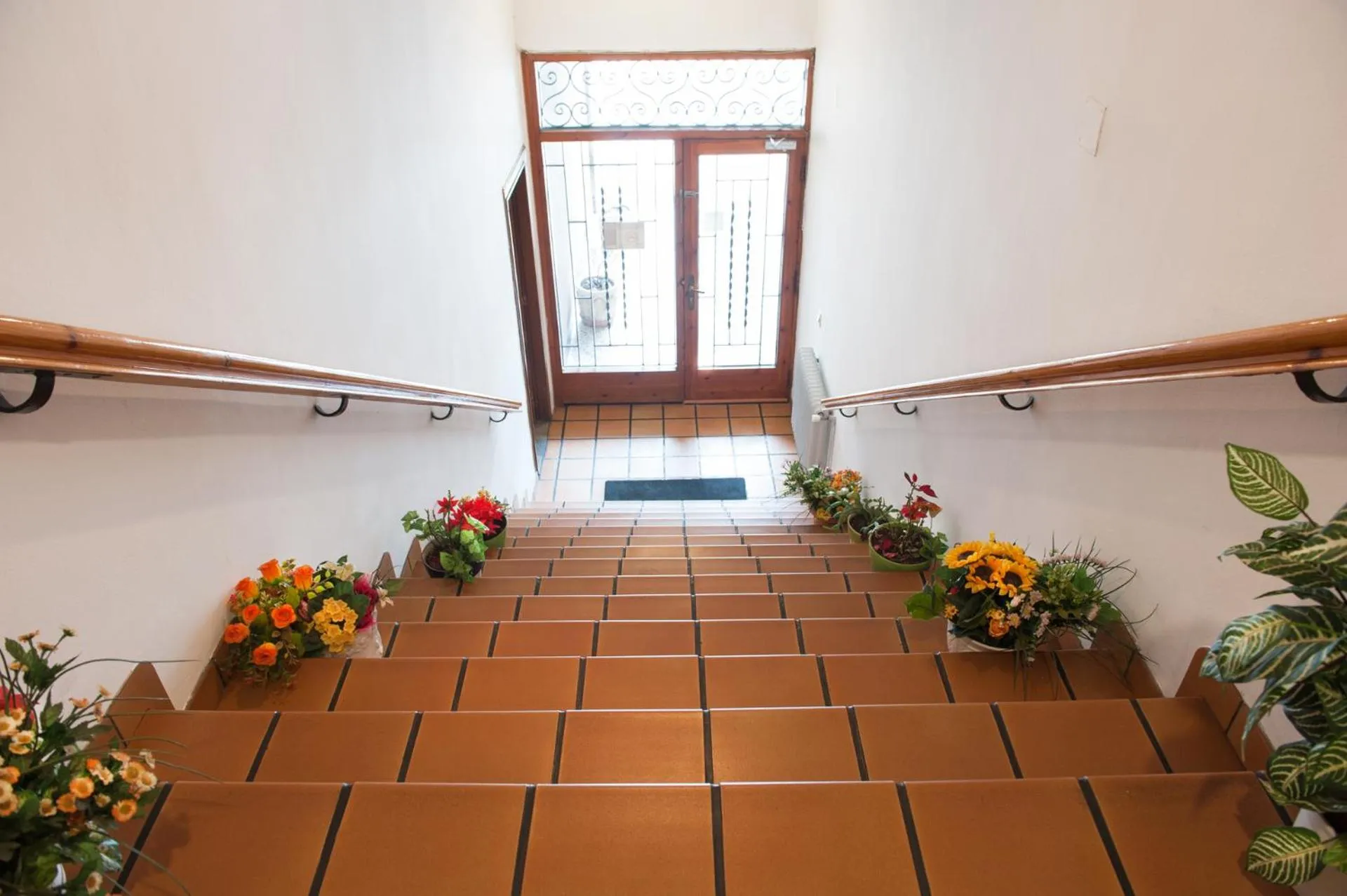 Property building in El Pilar