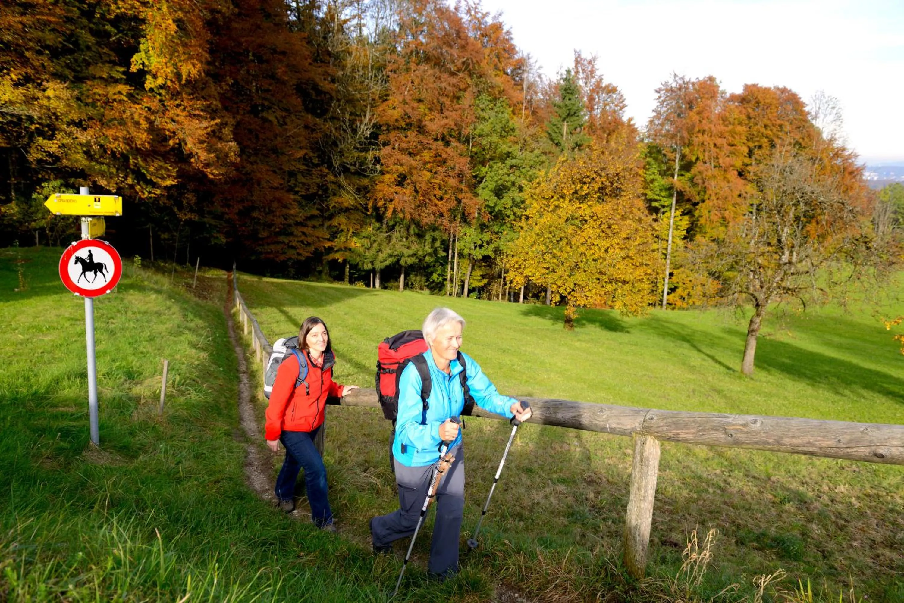 Hiking in Panorama Hotel Traunstein