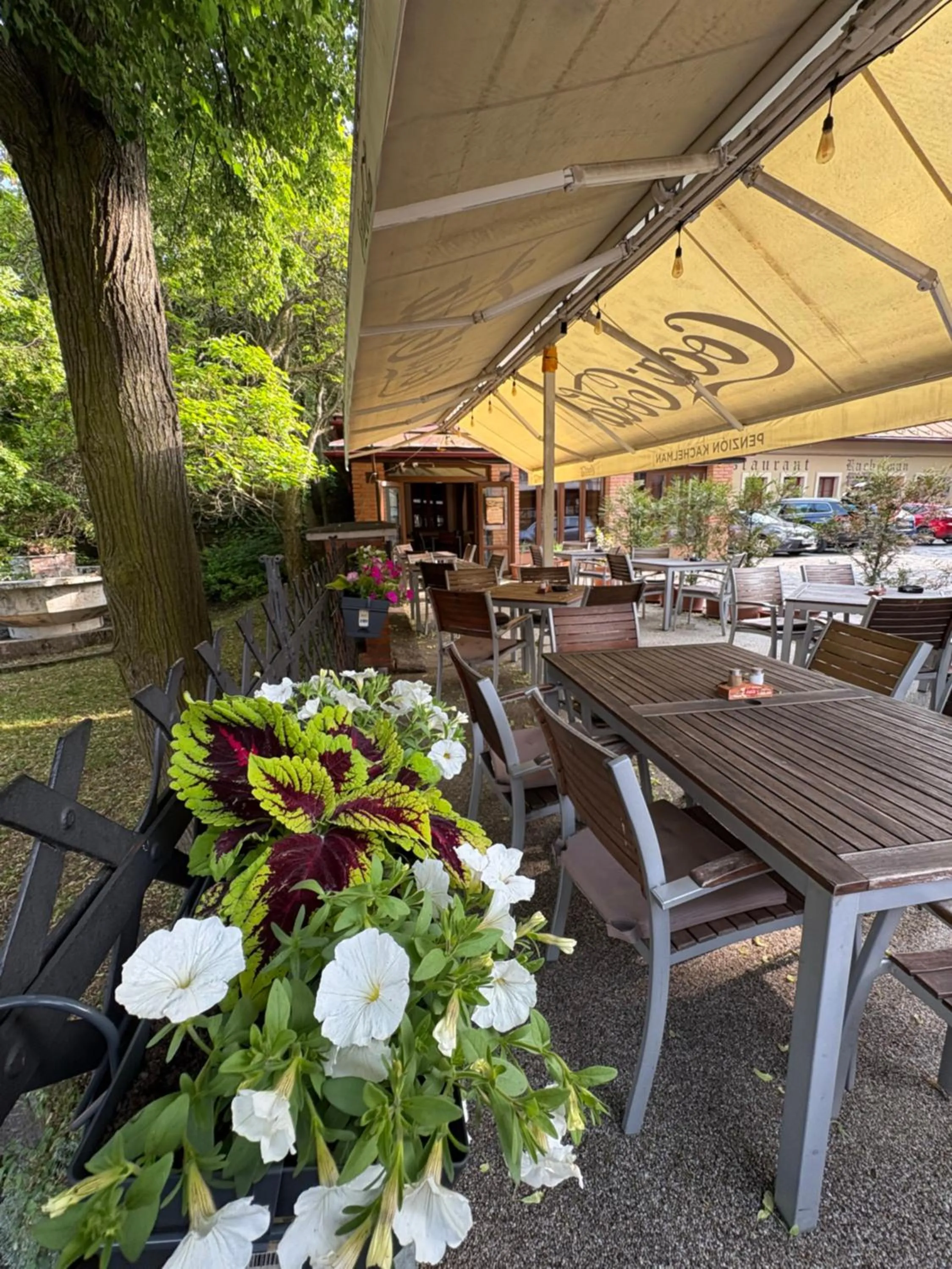 Restaurant/places to eat in Penzión Kachelman