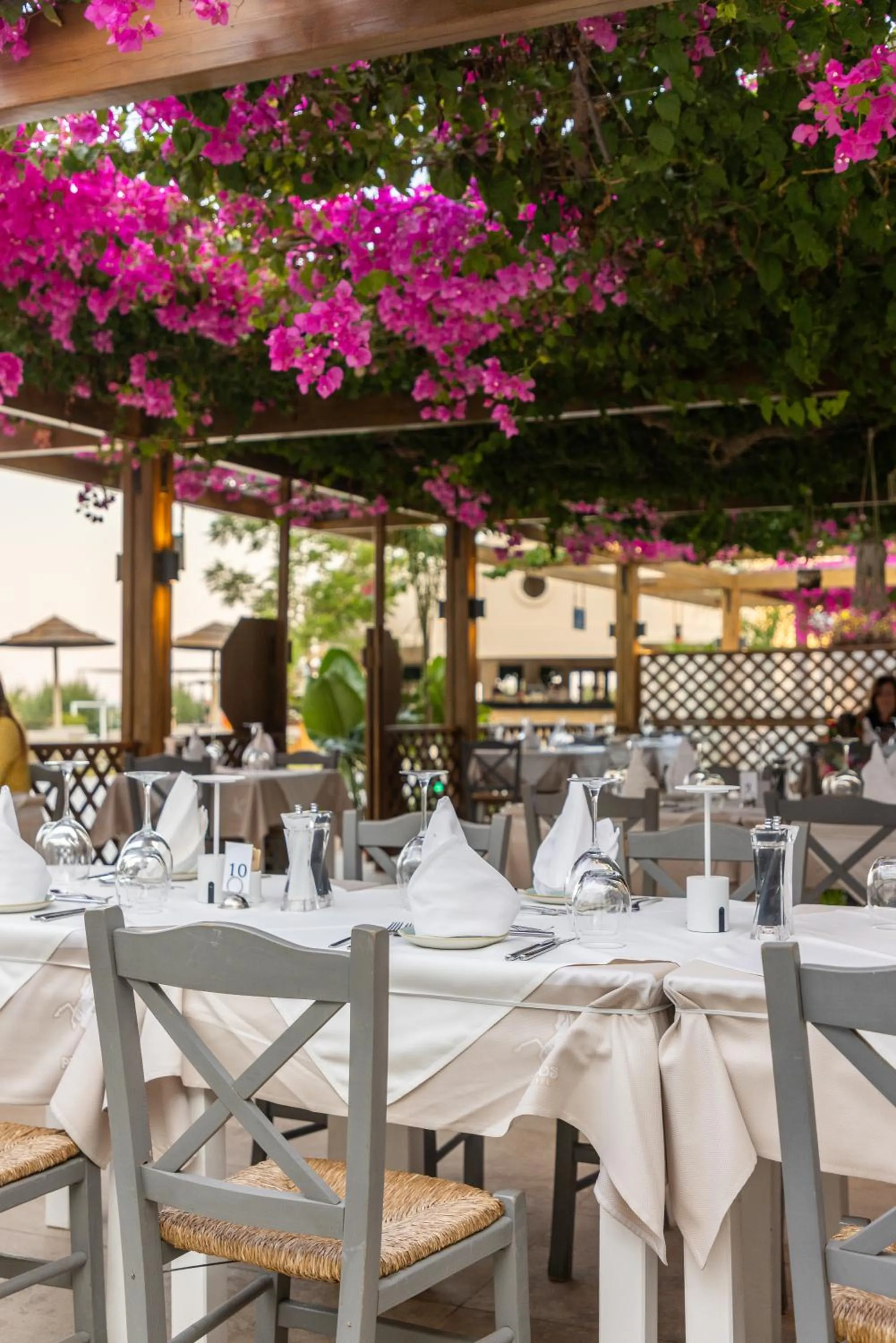 Restaurant/places to eat in Pegasos Deluxe Beach Hotel