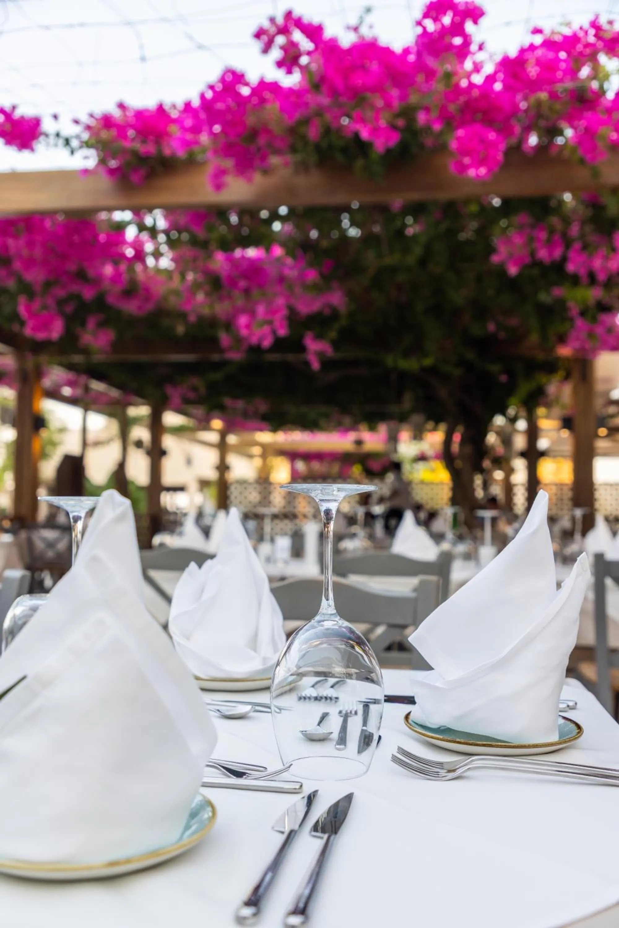 Restaurant/places to eat in Pegasos Deluxe Beach Hotel
