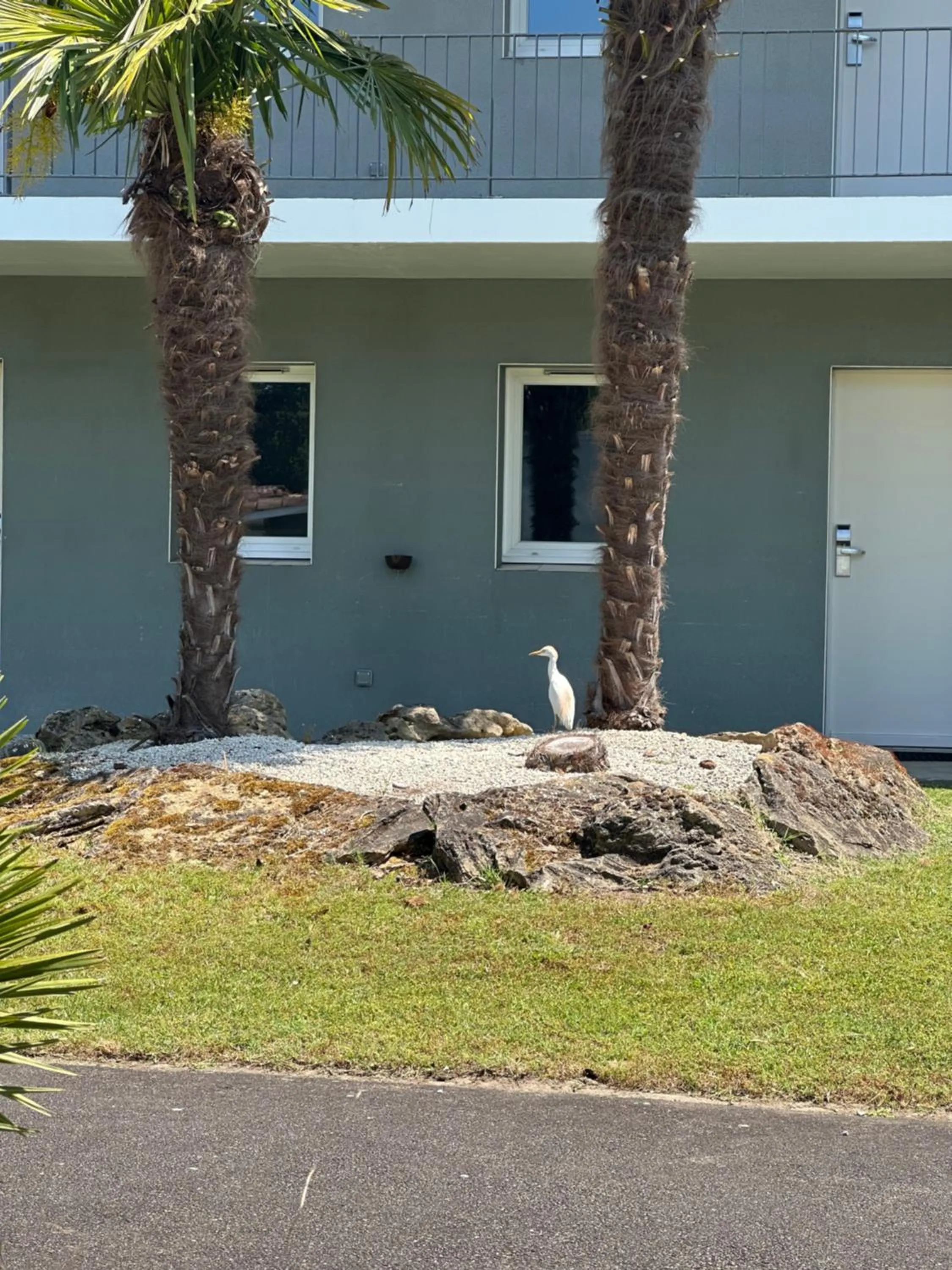 Garden in Sure Hotel by Best Western Mont-de-Marsan