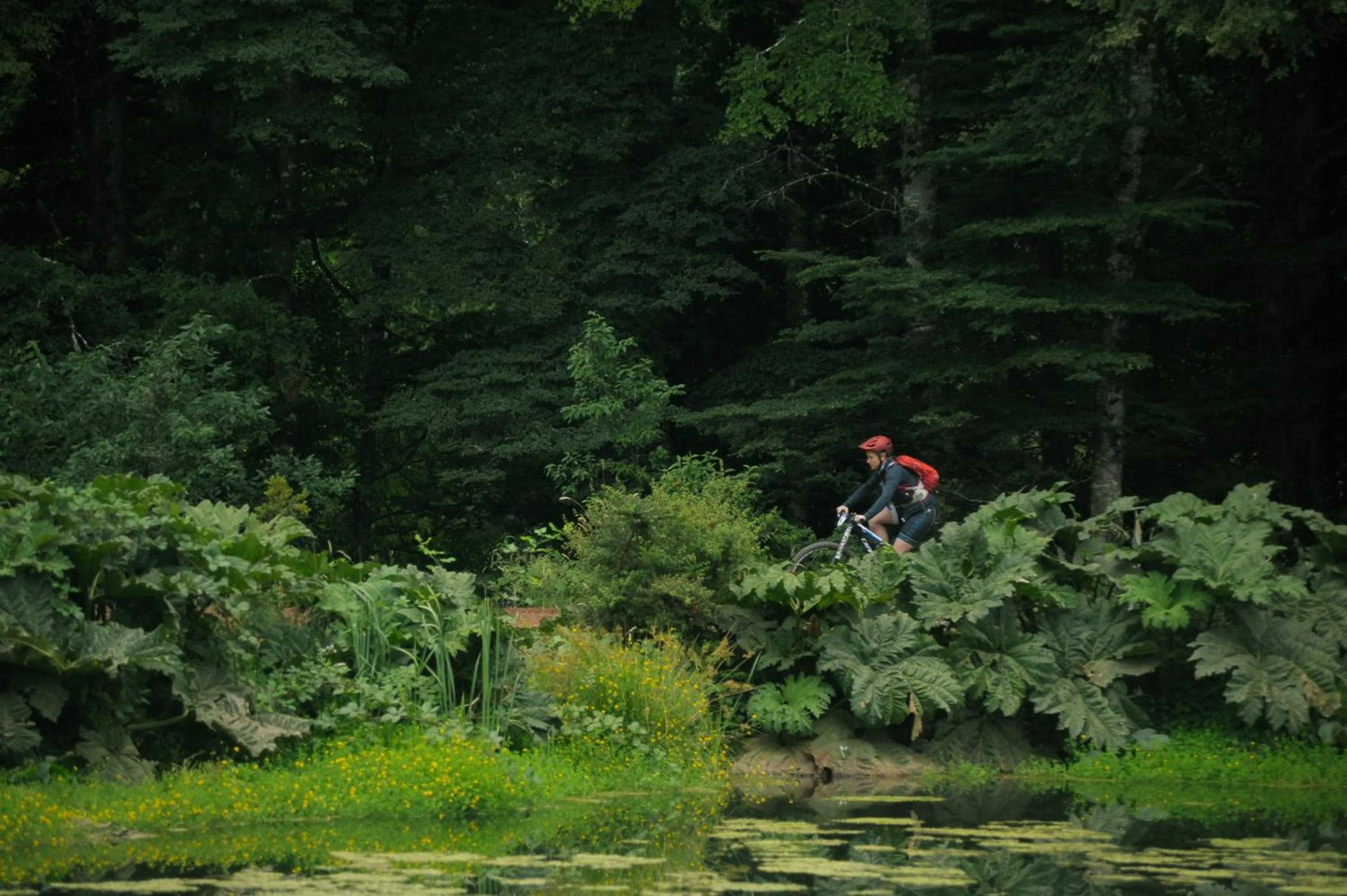 Cycling in Huilo Huilo Nothofagus Hotel & Spa