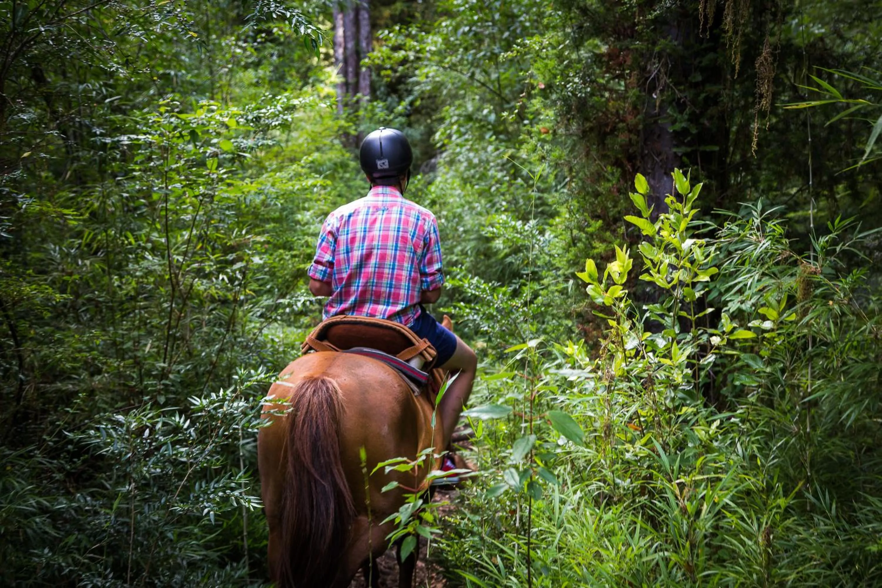 Horse-riding in Huilo Huilo Nothofagus Hotel & Spa