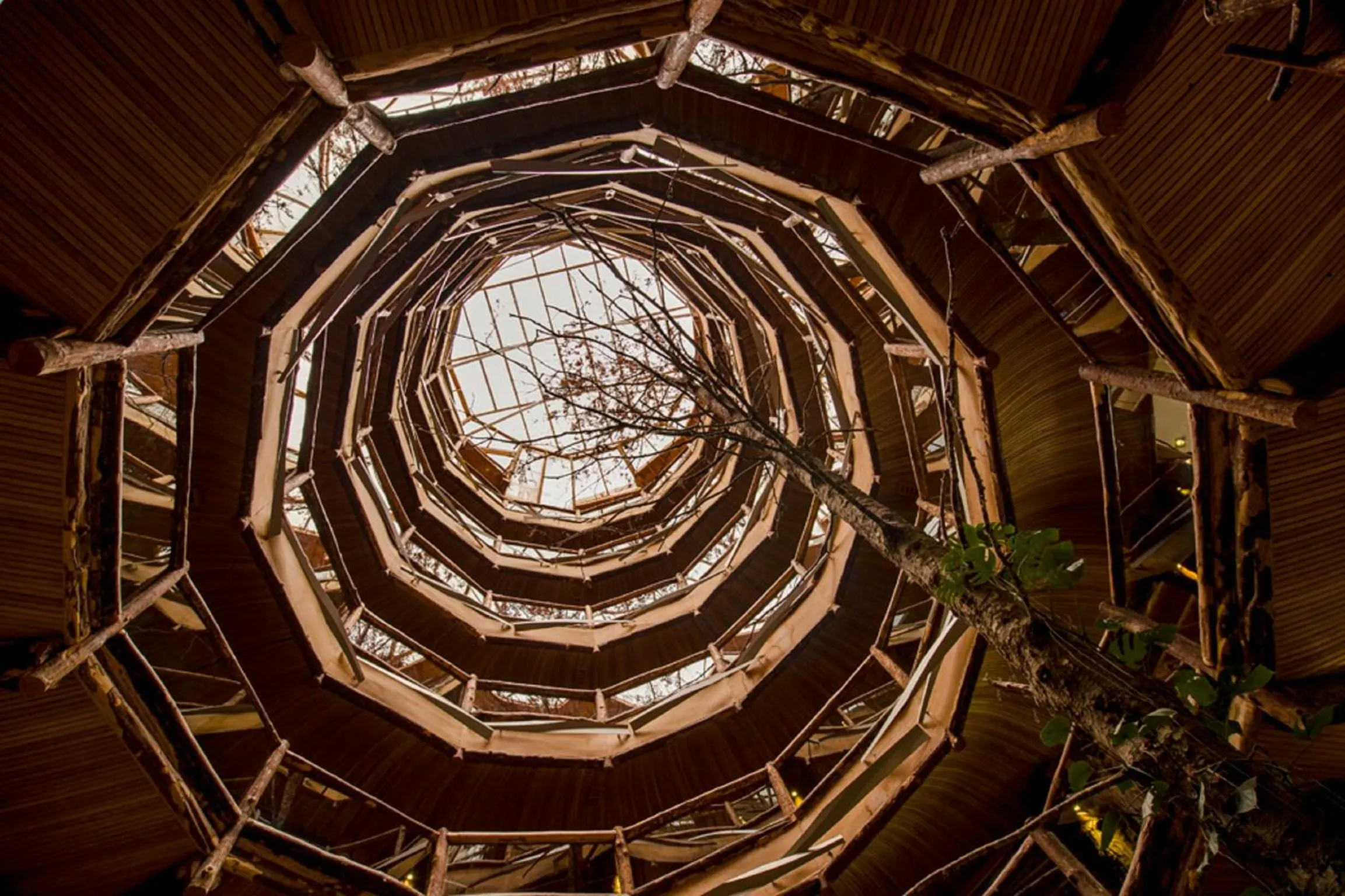 Decorative detail in Huilo Huilo Nothofagus Hotel & Spa