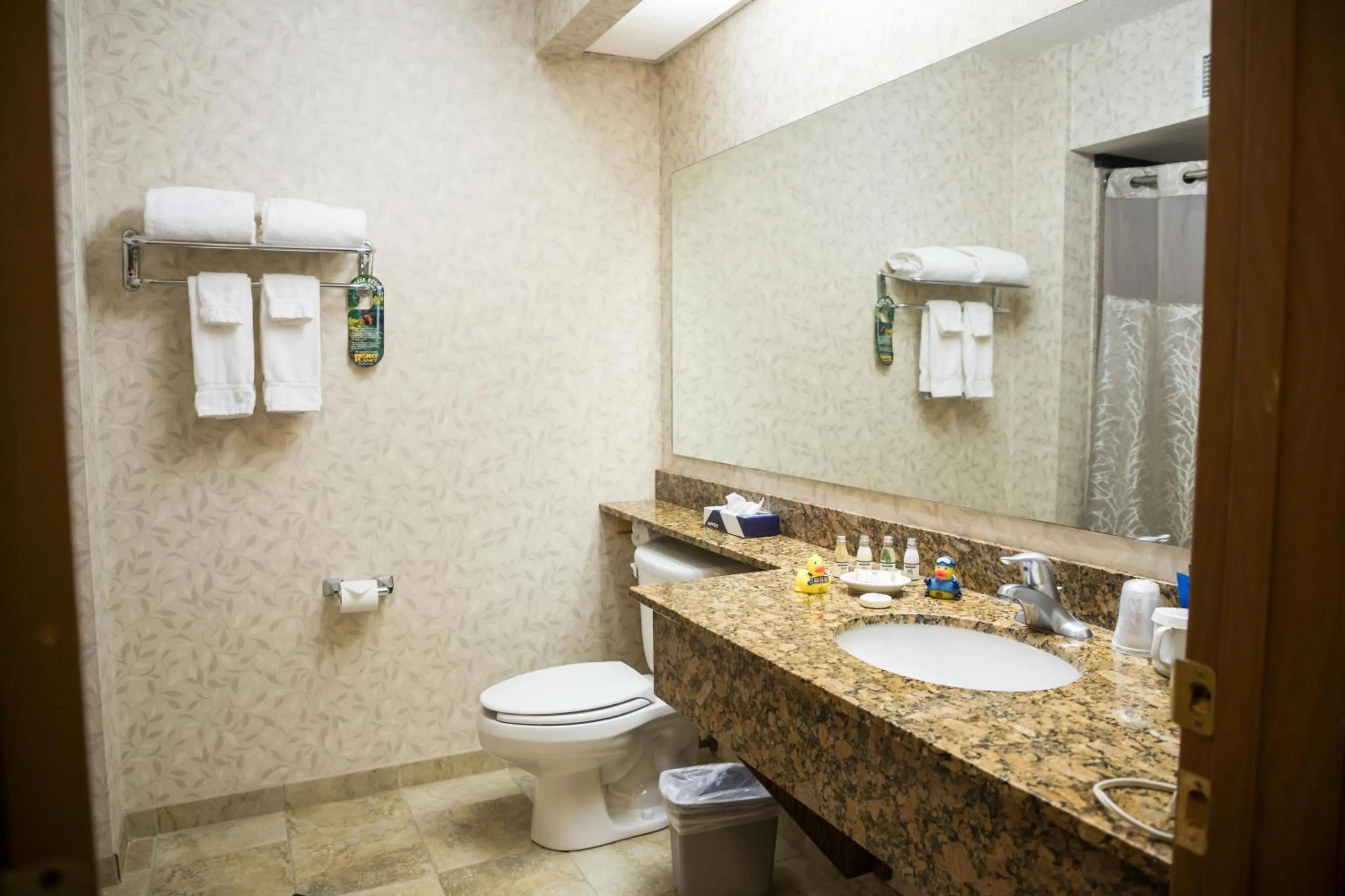 Toilet in Mineral Palace Hotel & Gaming