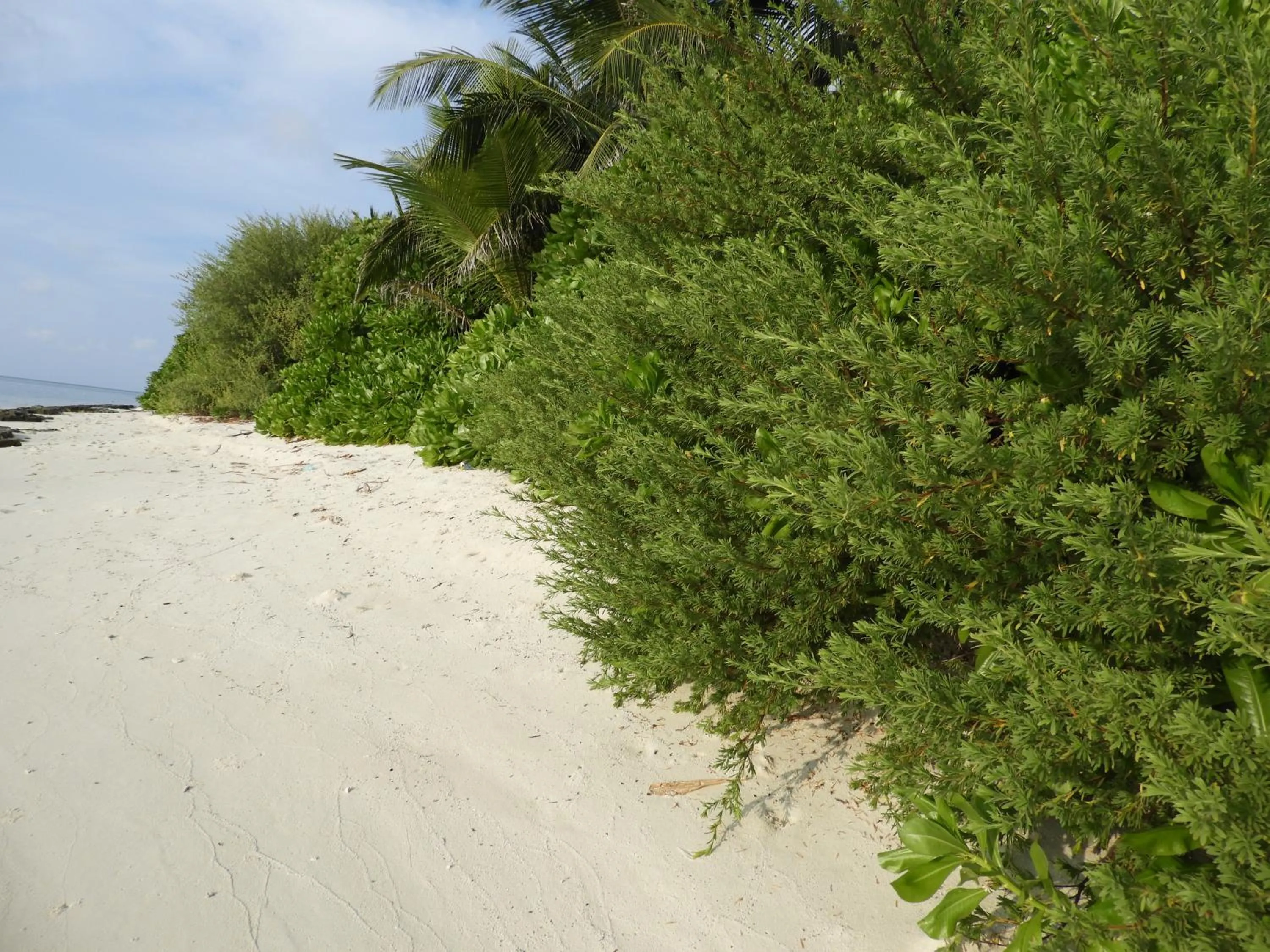 Beach in Karaa Village