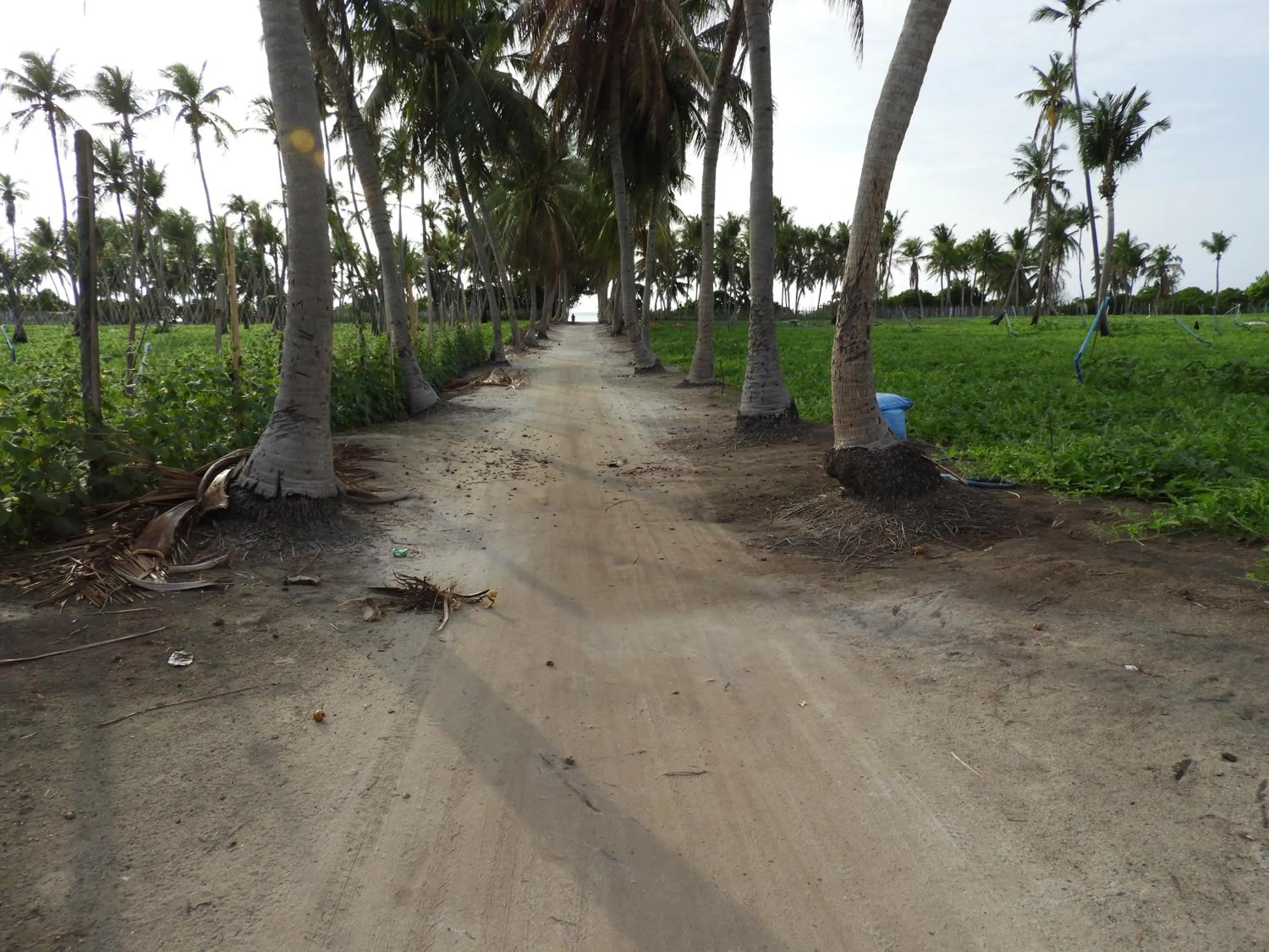 Off site in Karaa Village