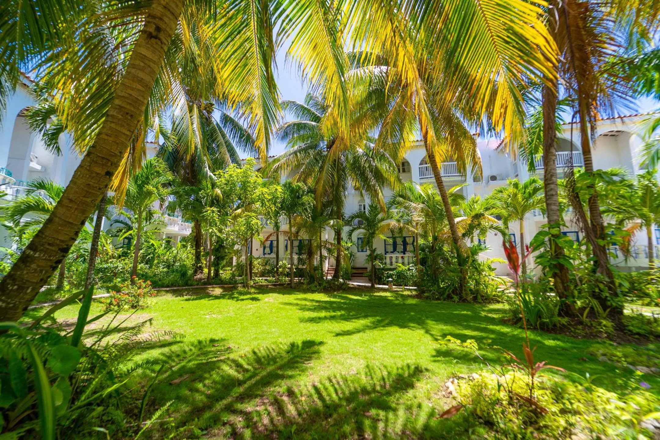 Franklyn D Resort & Spa All Inclusive