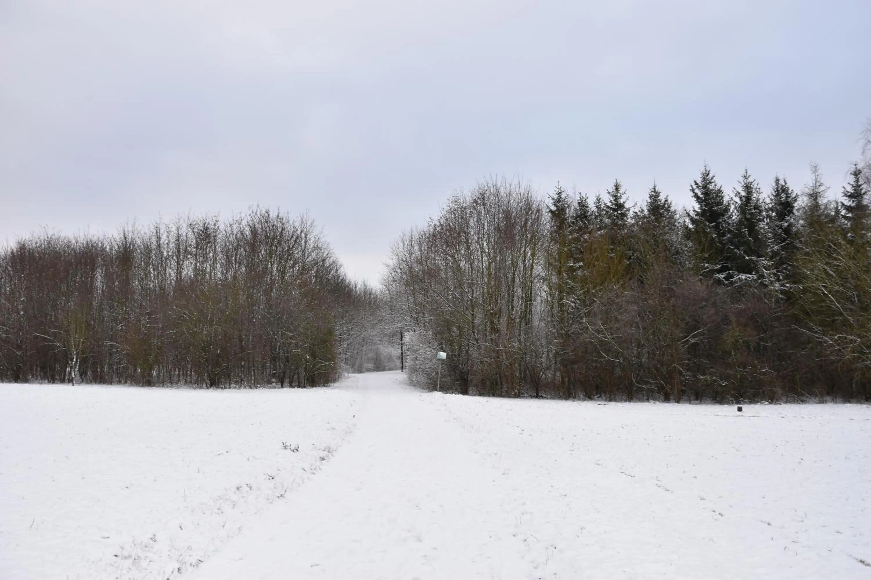 Off site in F Hotel 24h Check-In