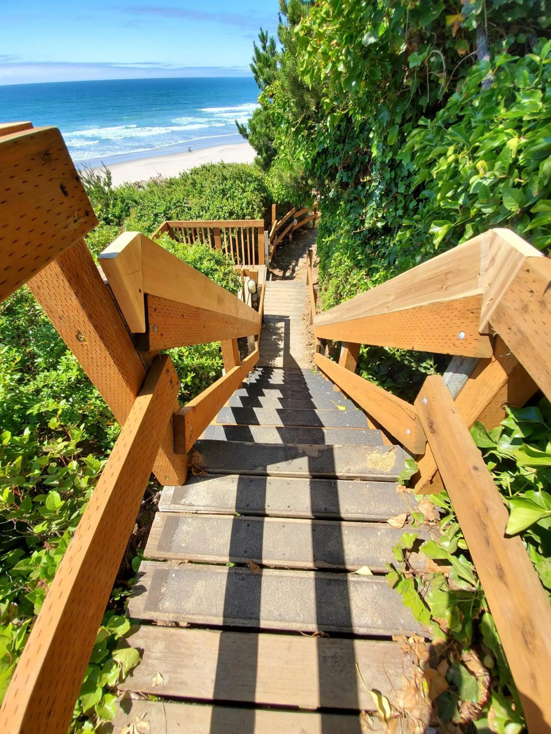 Beach in Surfland Hotel