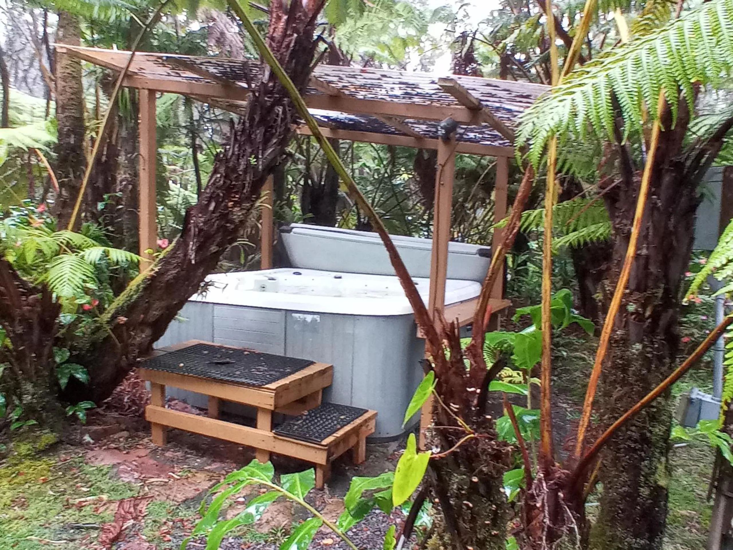 Garden in Aloha Crater Lodge