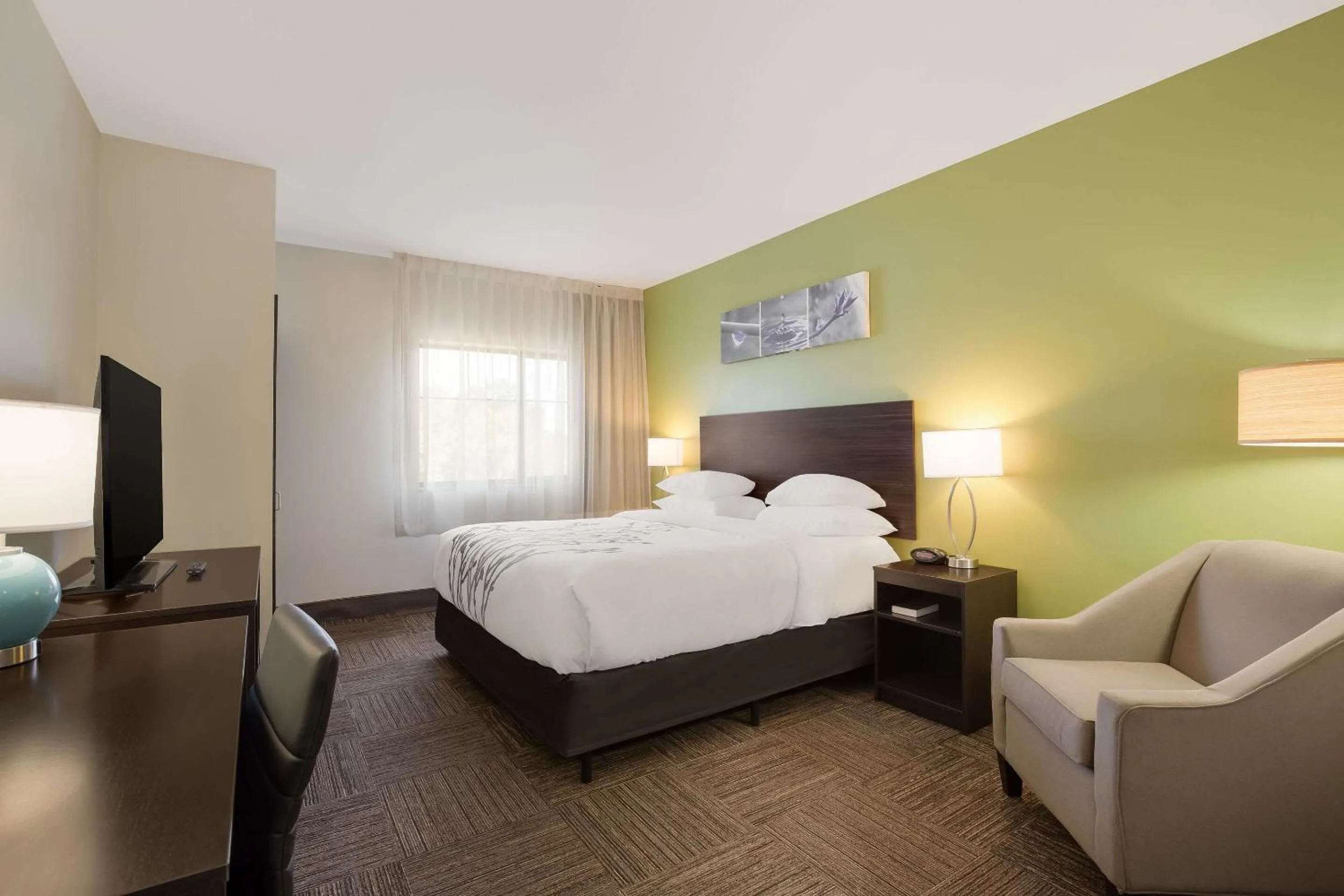 Bedroom, Bed in Sleep Inn & Suites North Mobile Saraland