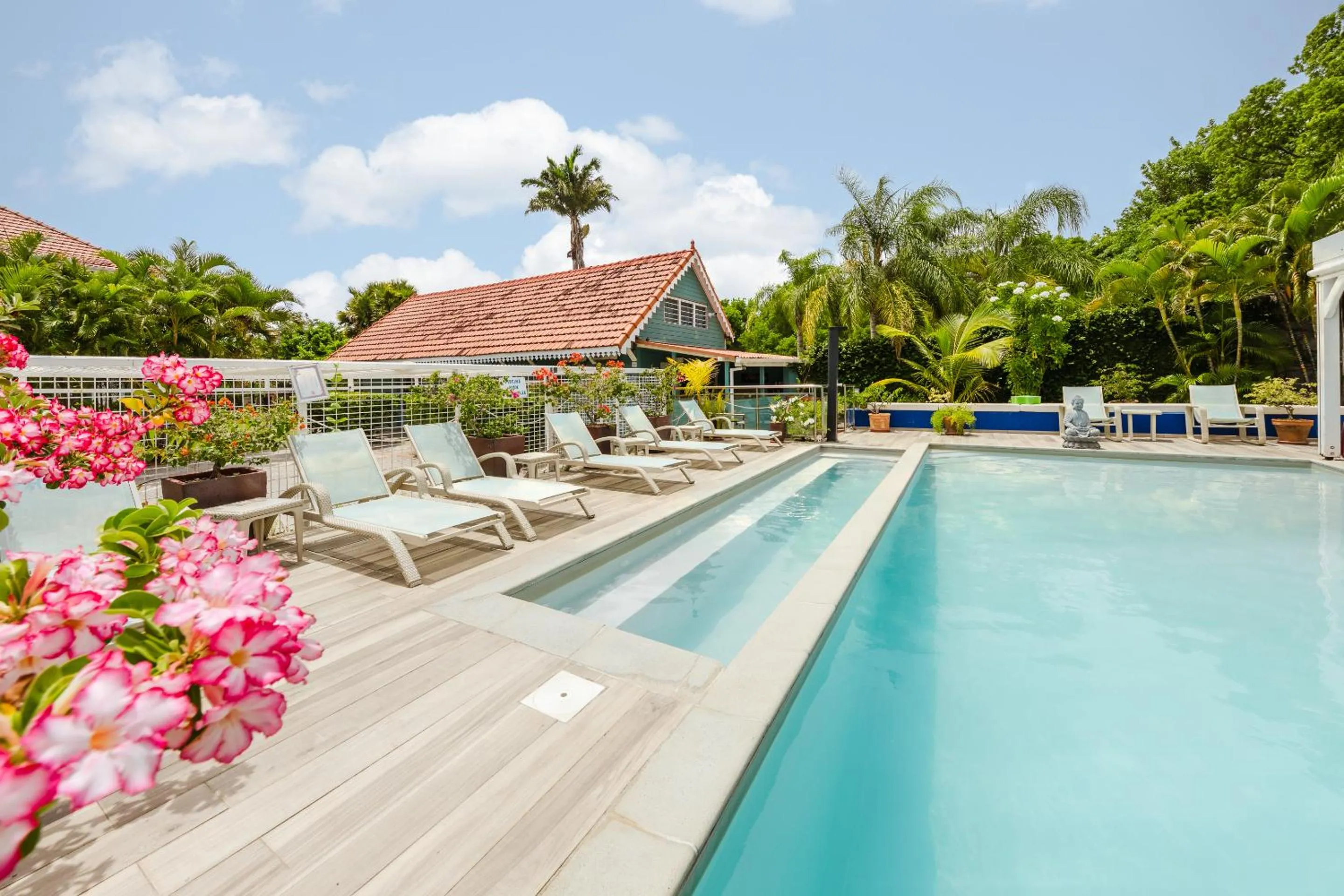 Pool view in Hôtel Frégate Bleue