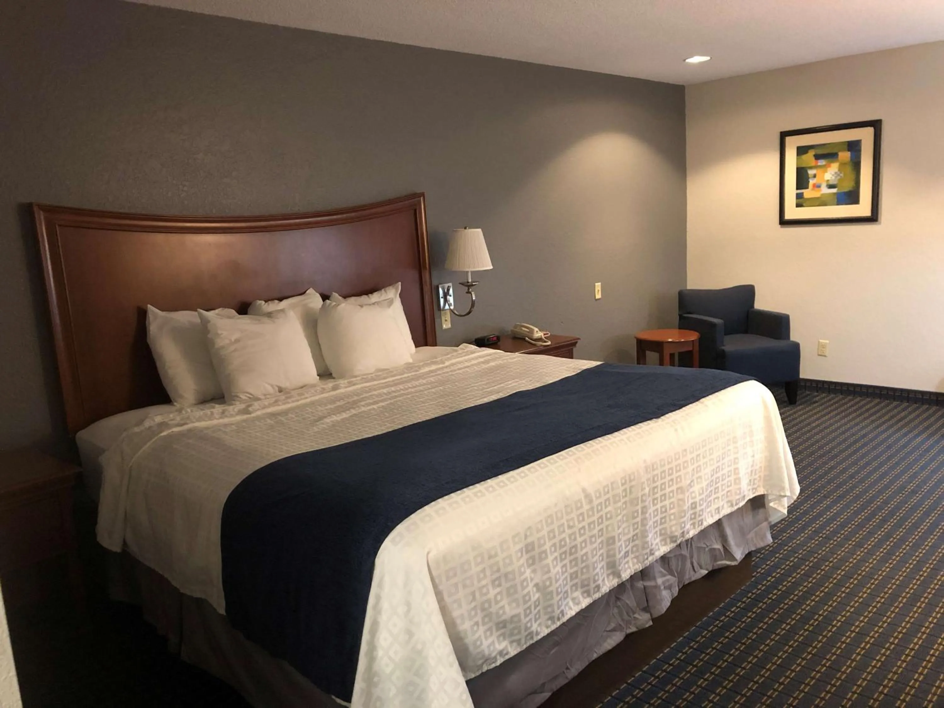 Photo of the whole room in Best Western Somerset